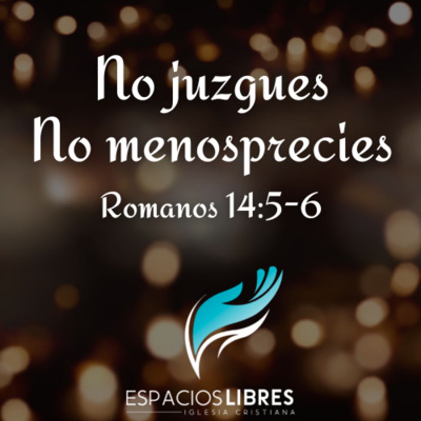 IGLESIA CRISTIANA ESPACIOS LIBRES