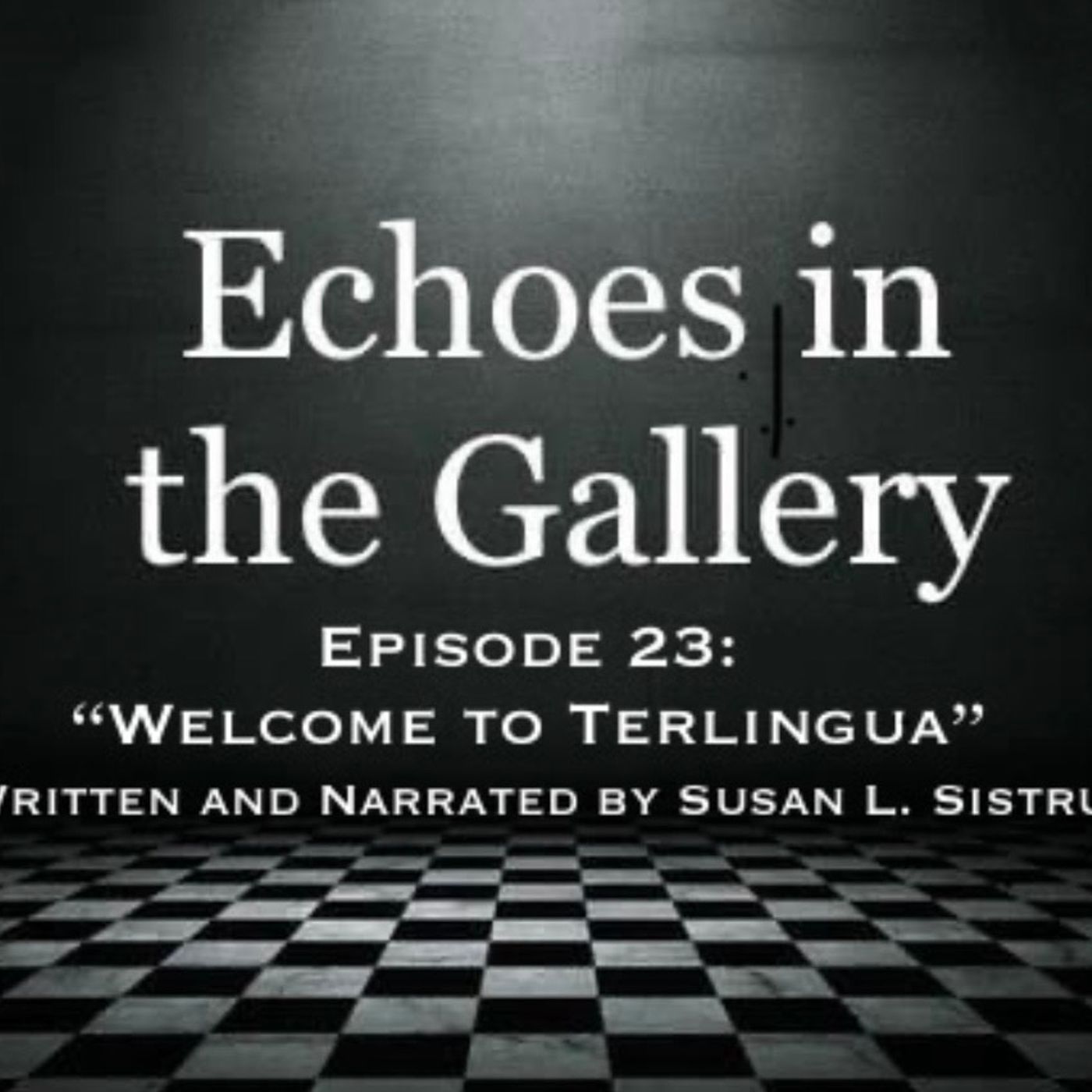 Echoes in the Gallery