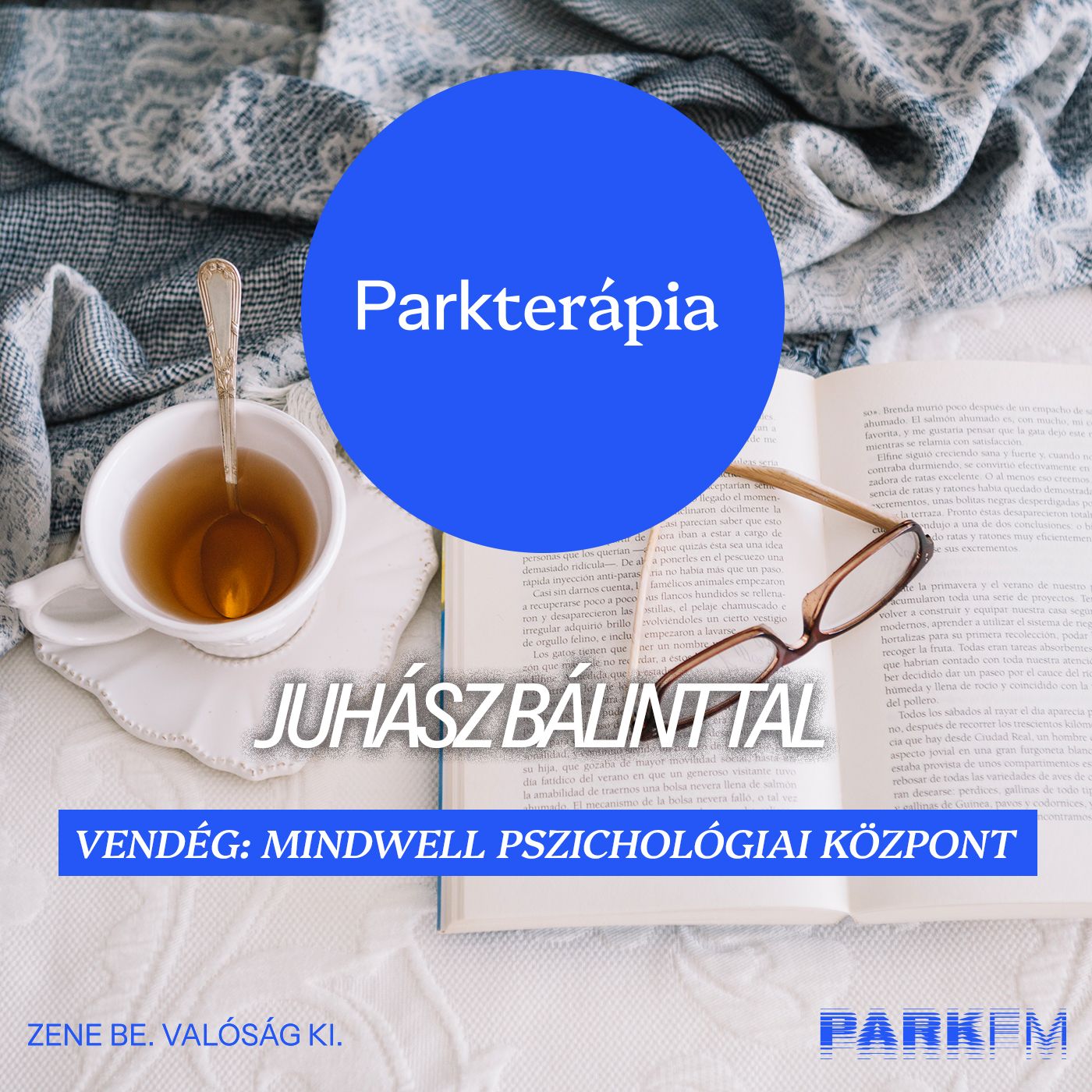 Zombi üzemmód, romantikus illúziók: csapdák - Mindwell | Park FM Parkterápia Juhász Bálinttal episode artwork