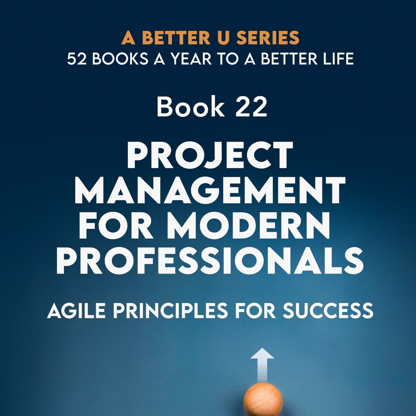 Revisiting Book 22: Project Management For Modern Professionals : Agile Principals For Success episode artwork