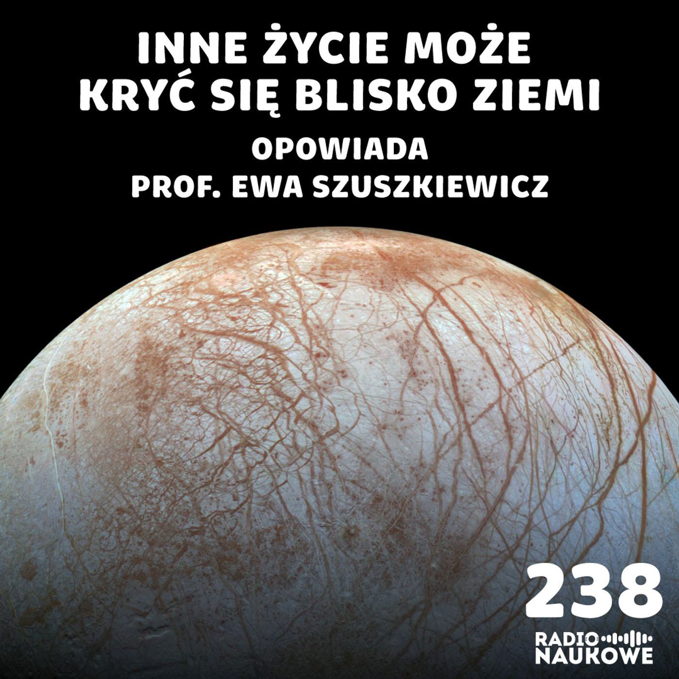 #238 Życie we Wszechświecie – na węglu czy na krzemie? blisko czy daleko? | prof. Ewa Szuszkiewicz
