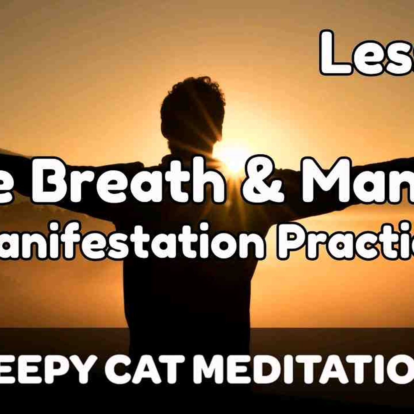 Lesson 7_ The Breath _ Mantras (Beginner Breathwork Course)(MP3_160K) episode artwork