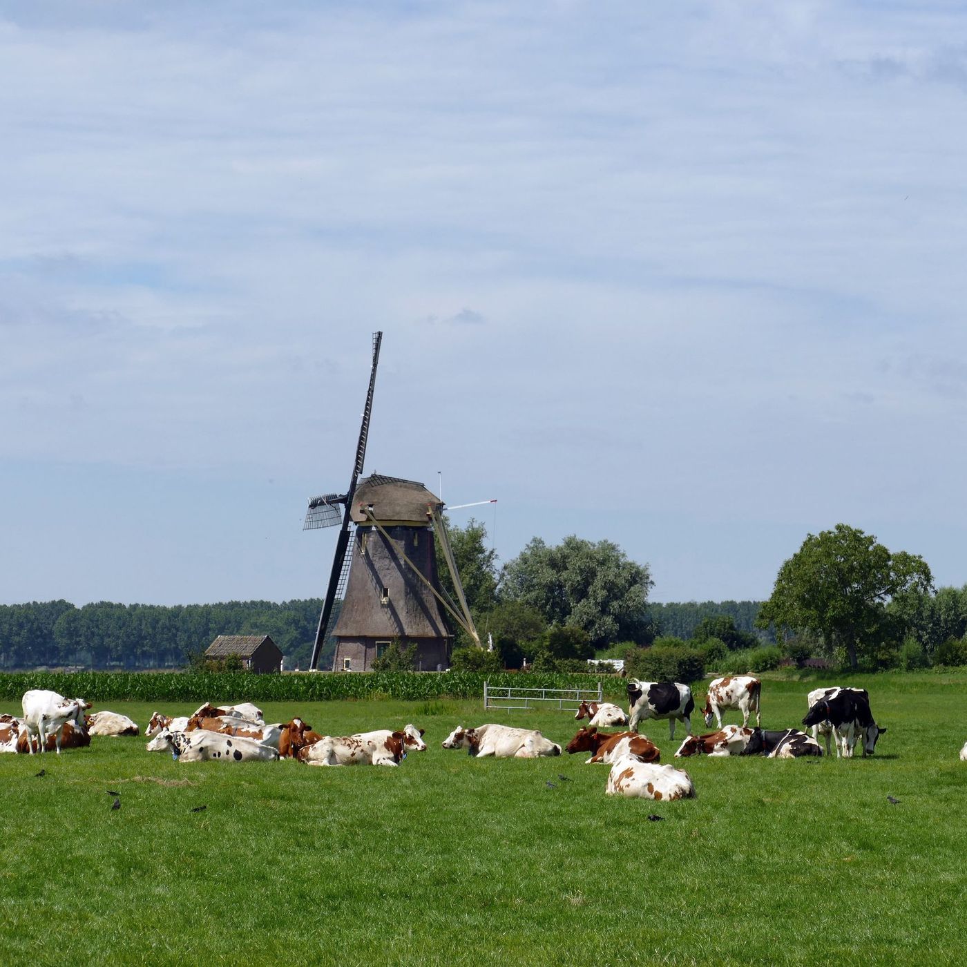 Viajes y escapadas: Holanda desconocida