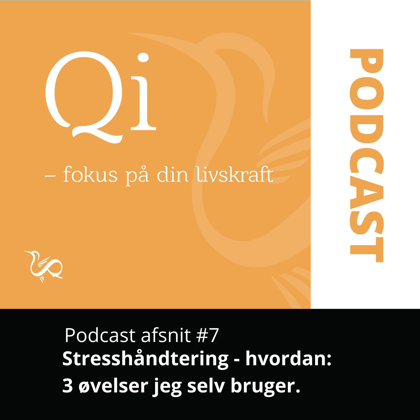 Qi - Fokus på din Livskraft