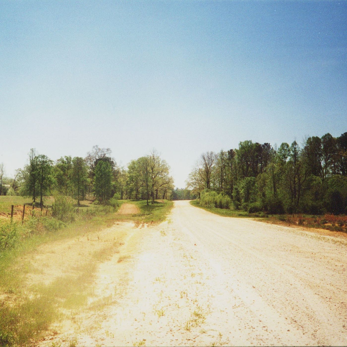 Mississippi Rose: A Mississippi Ghost Story episode artwork