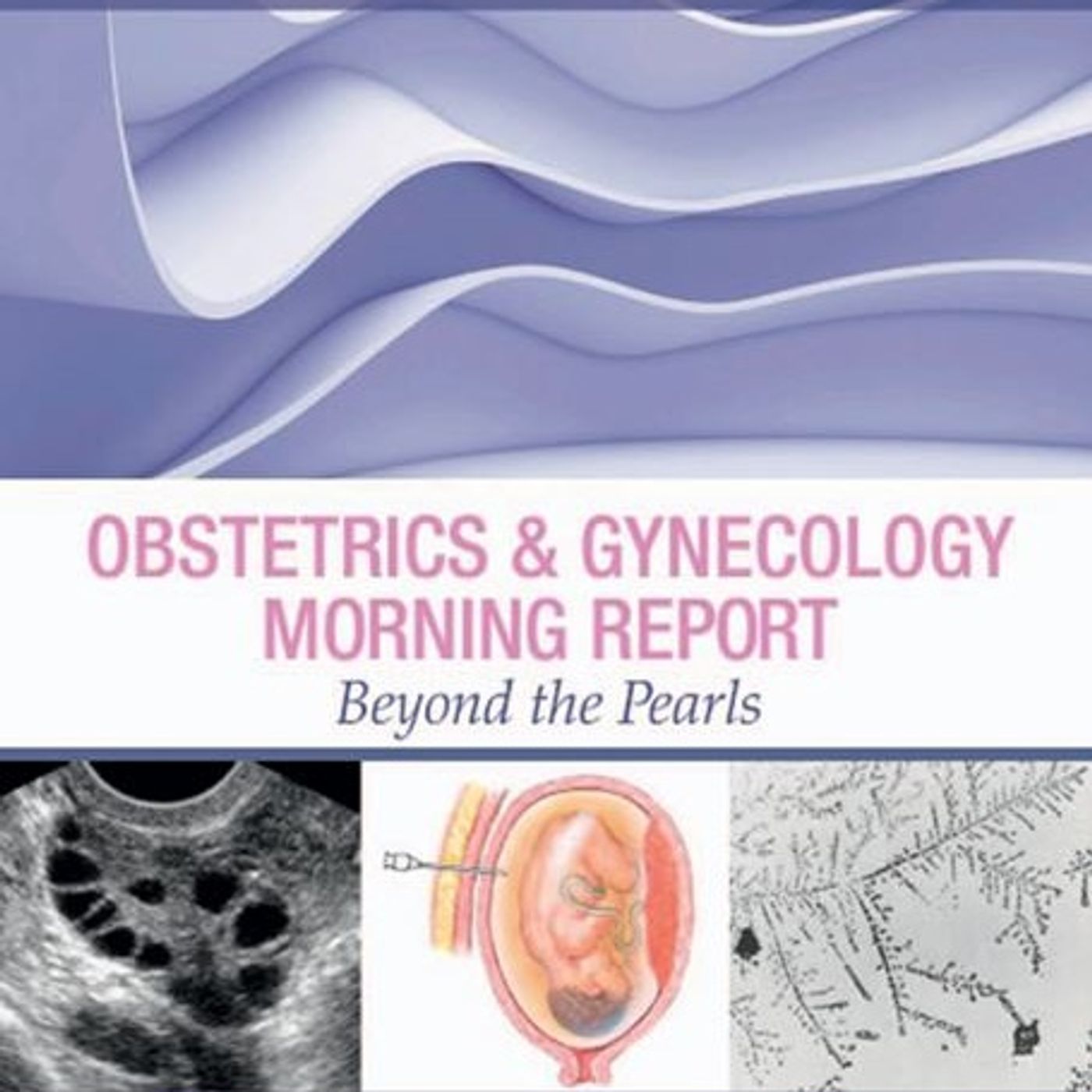 Obstetrics & Gynecology Morning Report: Beyond the Pearls