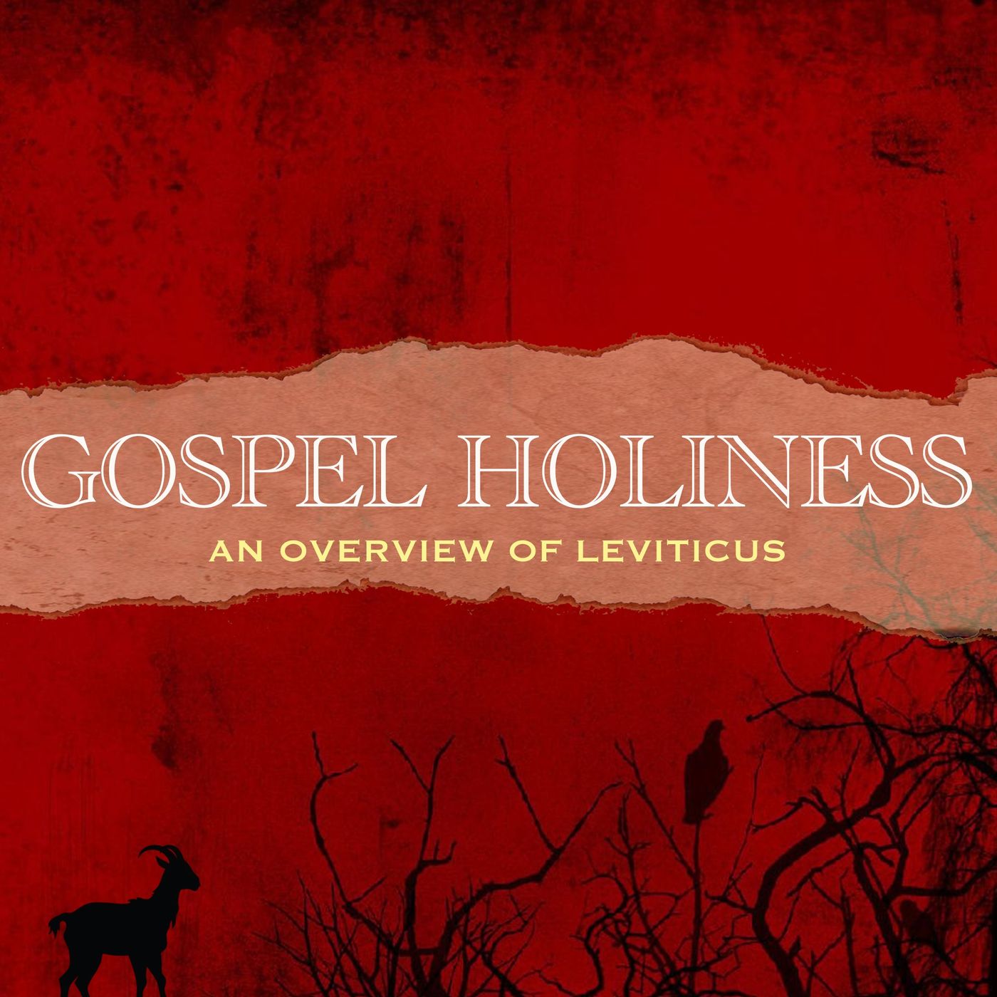 Gospel Holiness: An Overview of Leviticus episode artwork
