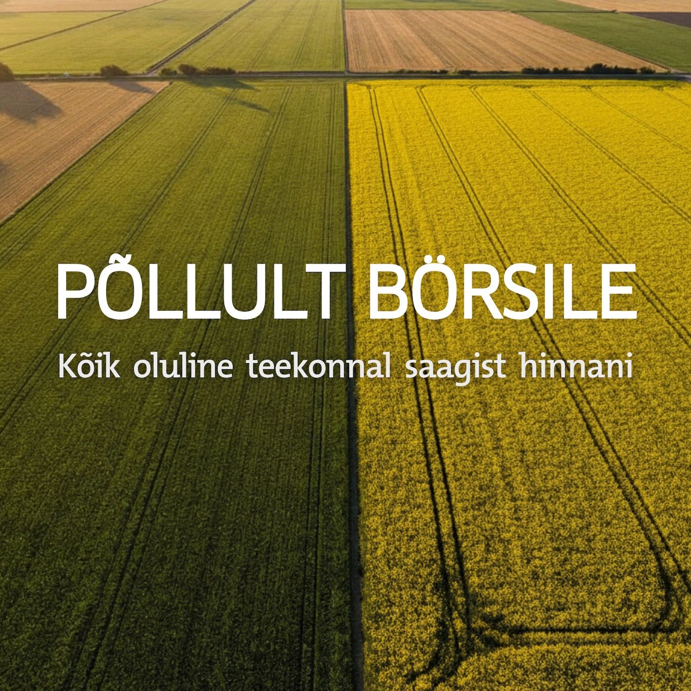 Põllult börsile: viljakasvataja teejuht