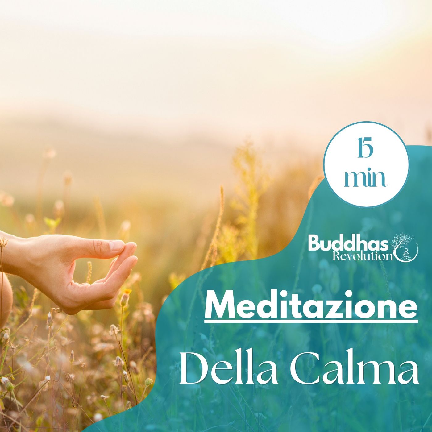 Buddhas Revolution