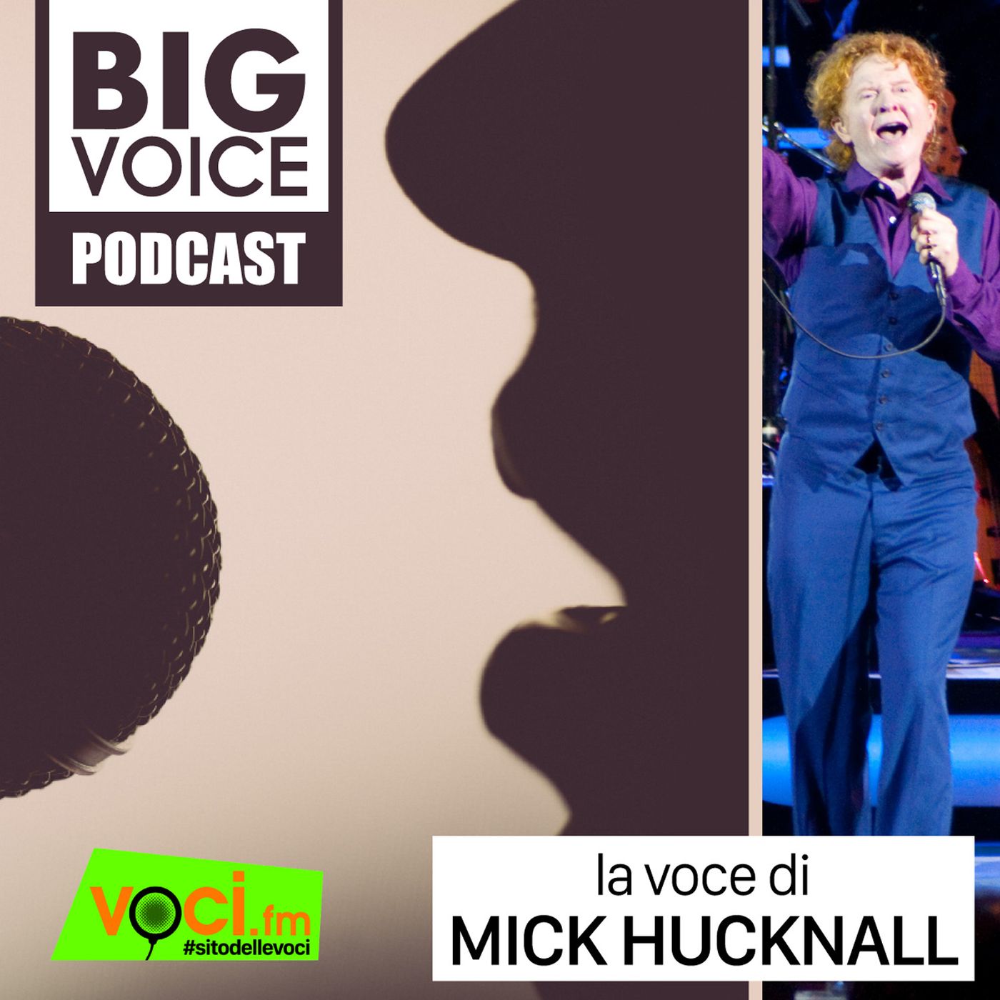BIG VOICE PODCAST: Mick Hucknall - clicca play e ascolta il podcast episode artwork