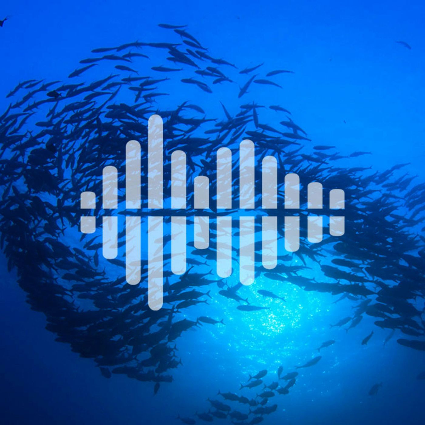 Science Time Podcast