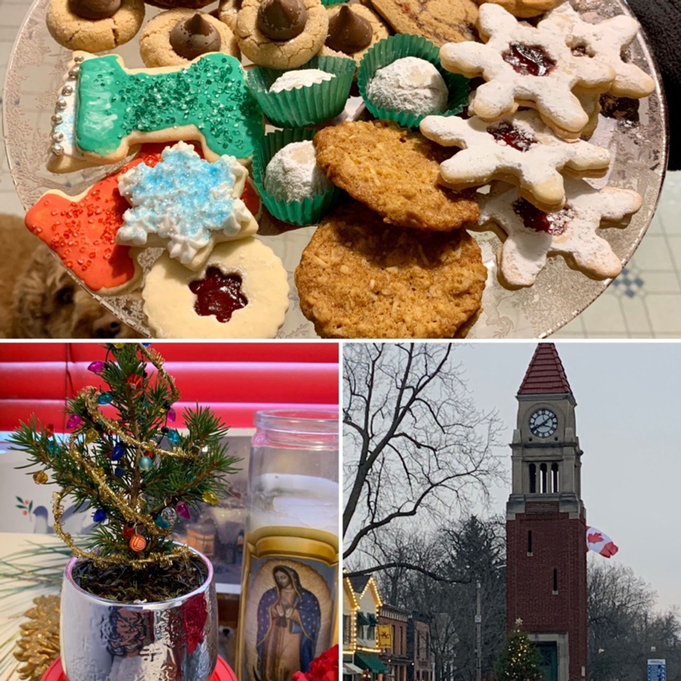 Prayer on the Go! - with Bishop Deb