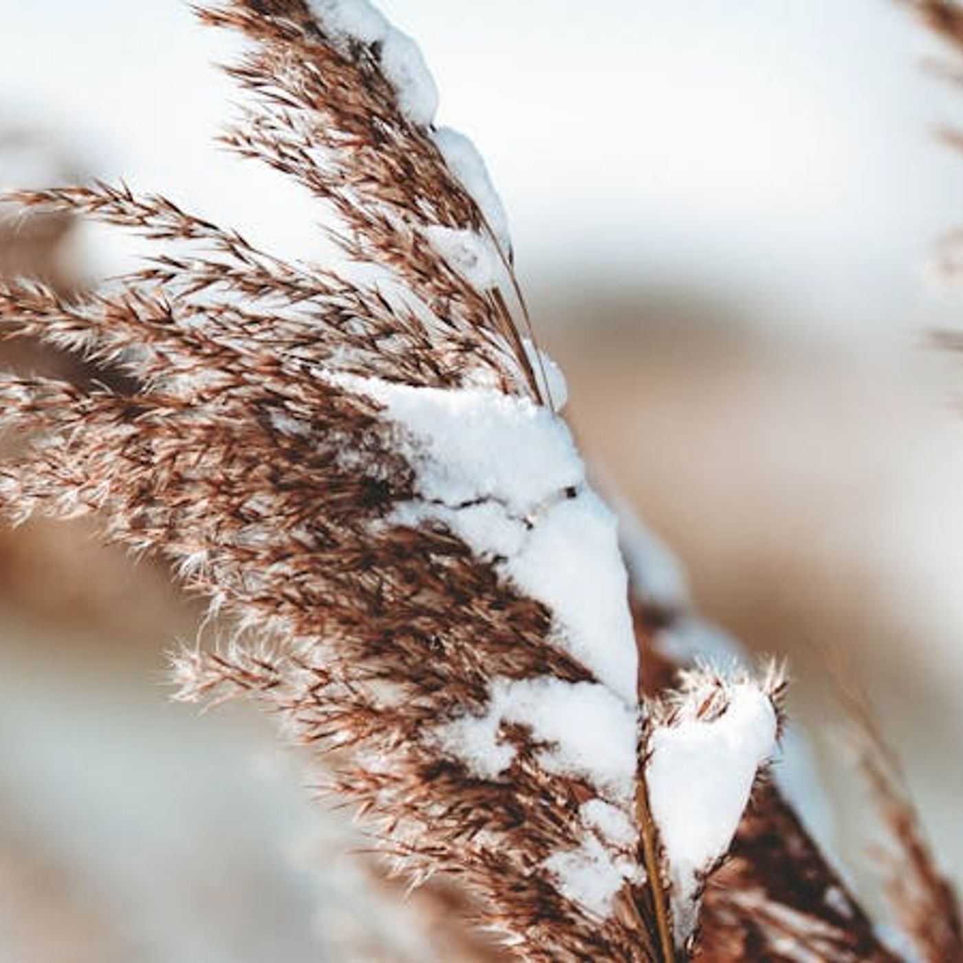 Everything Made Meaningful