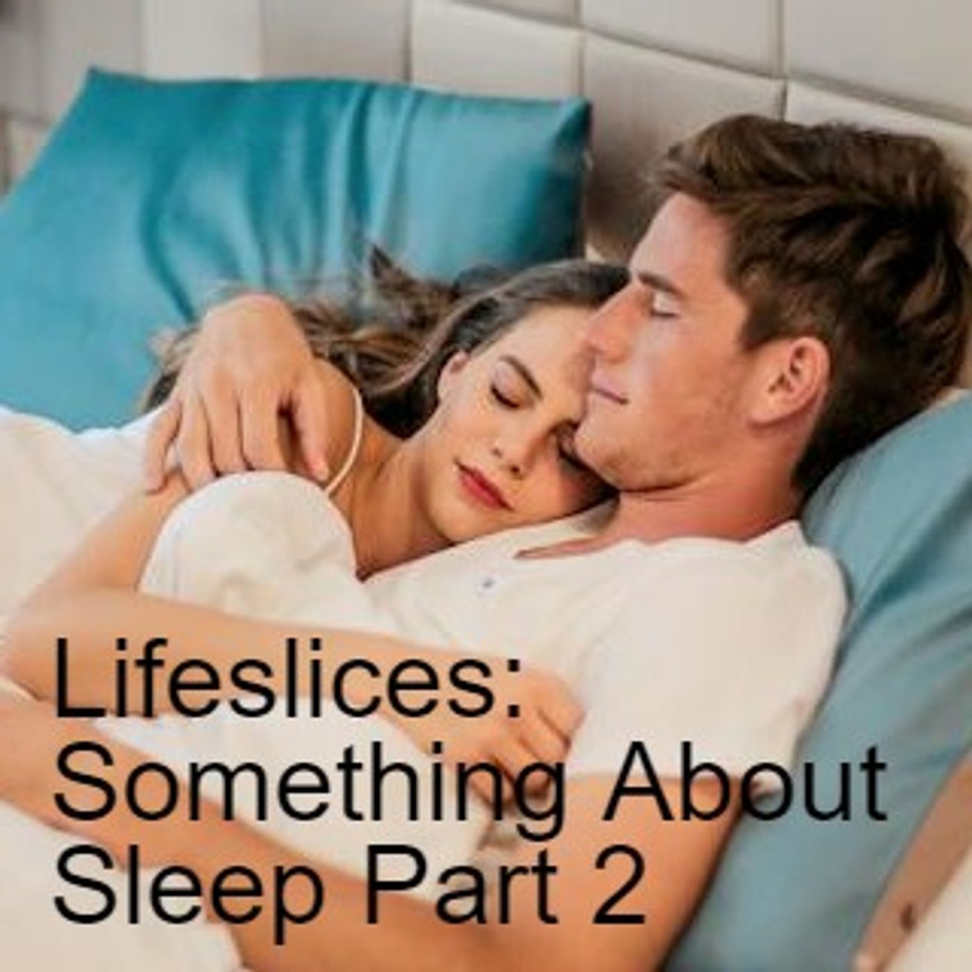 Lifeslices with Steve Fisher