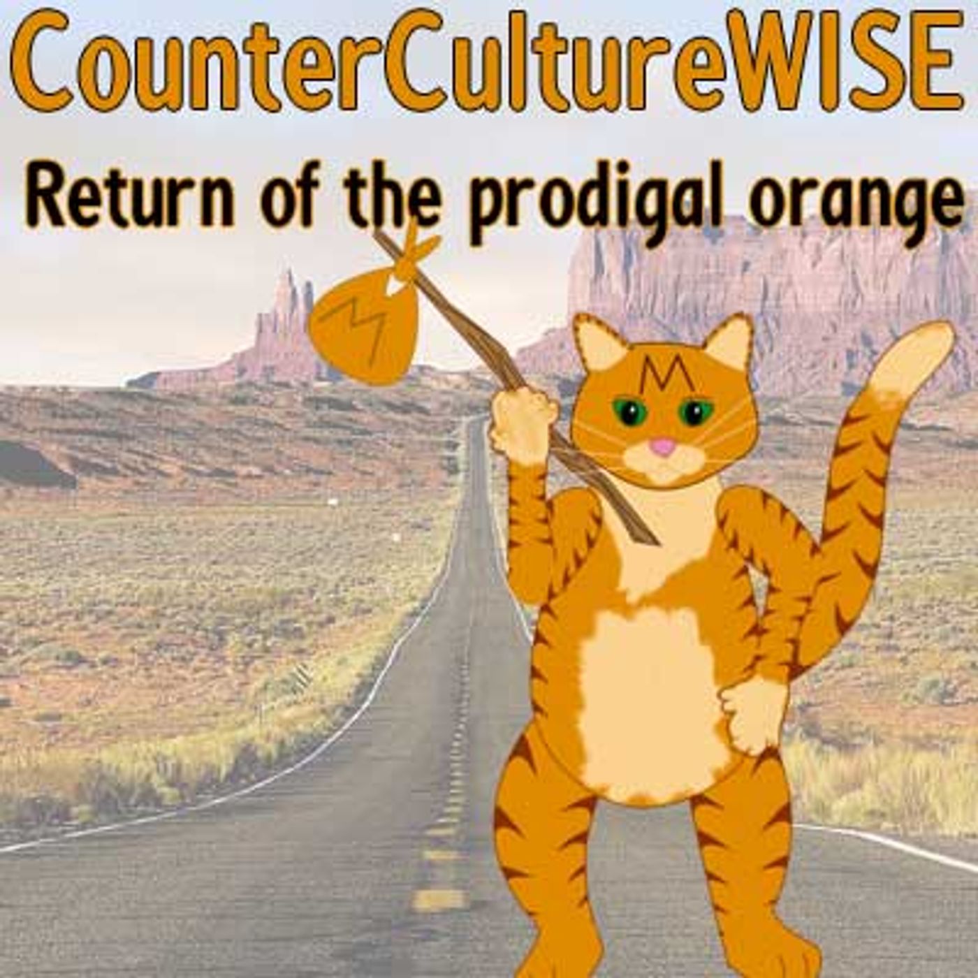 CounterCultureWISE