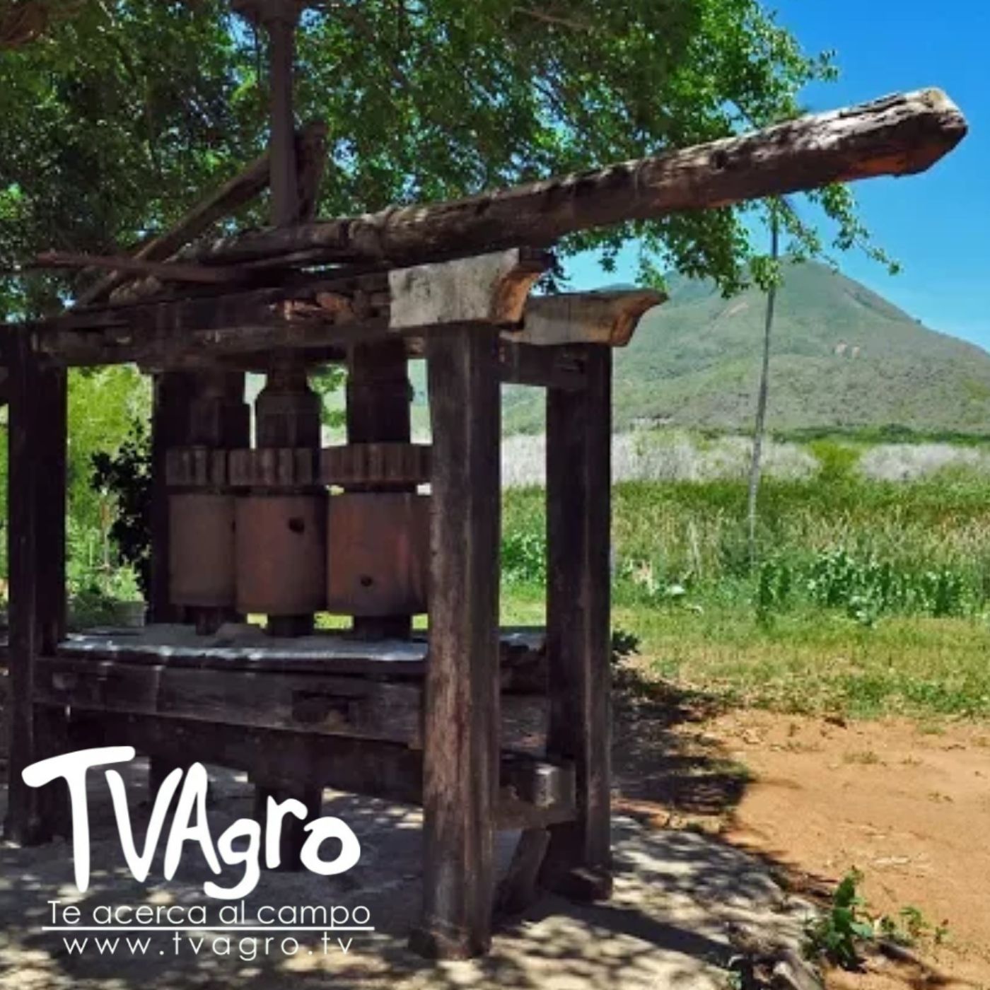 TV AGRO