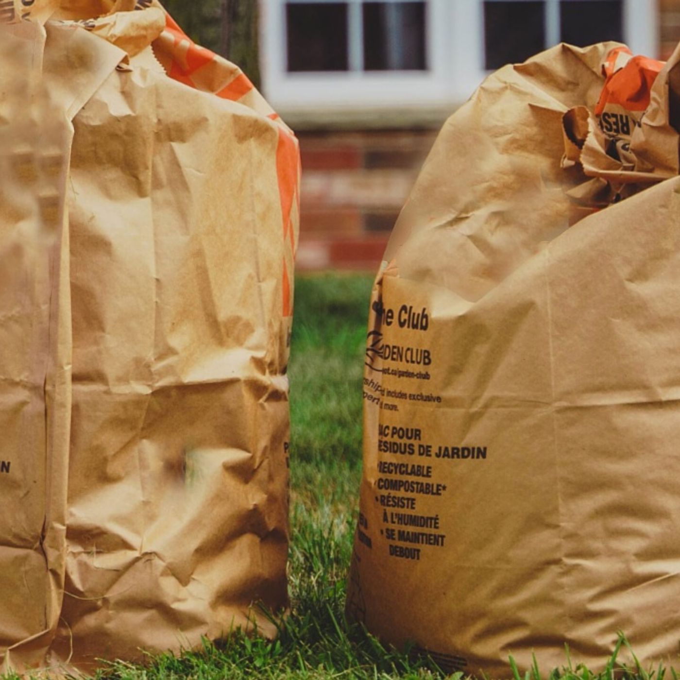 Spring yard waste clean-up set to start May 5 episode artwork