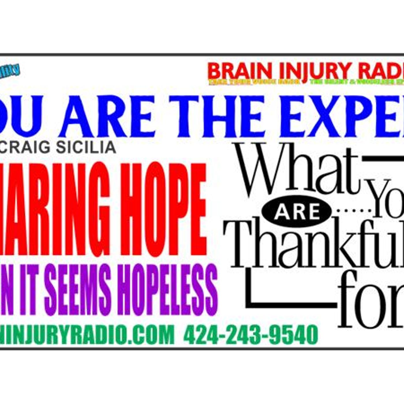Your the Expert -Hard to be Thankful - Hosted by Craig Sicilia episode artwork