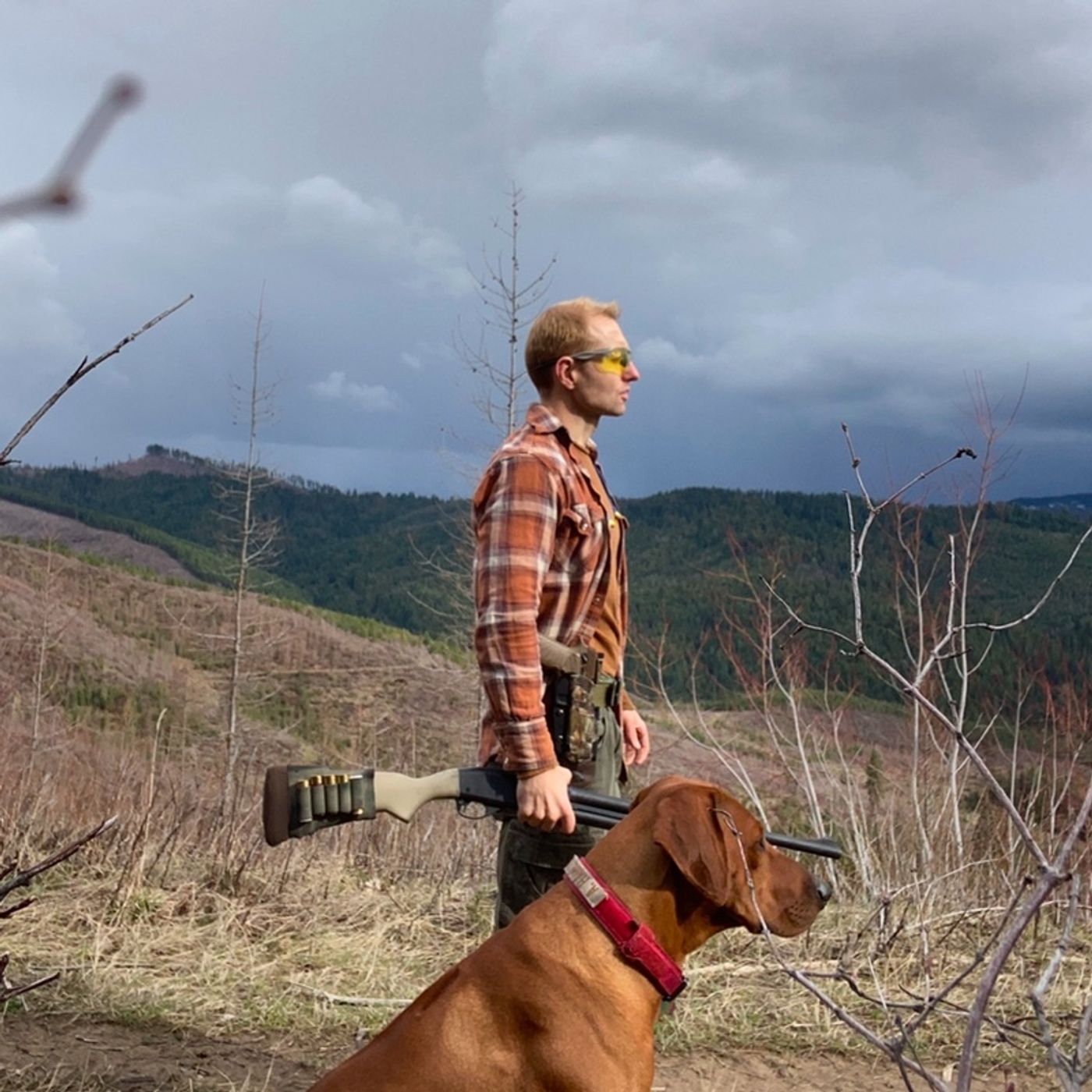 How to Have a Useful Dog - Tips Best Practices & Breeds