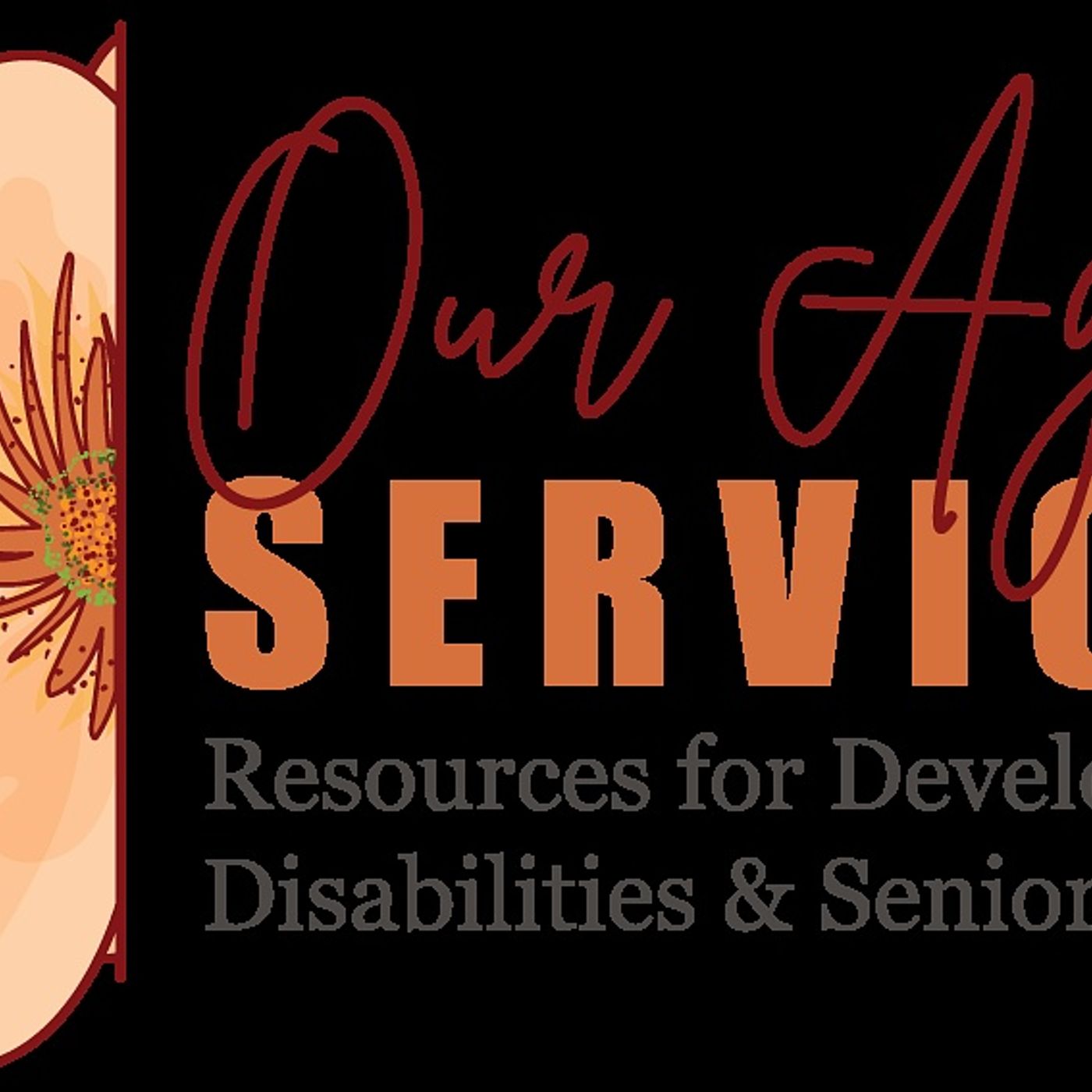 Our Aging Services is hosting a free family resource fair to help parents navigate disability support episode artwork