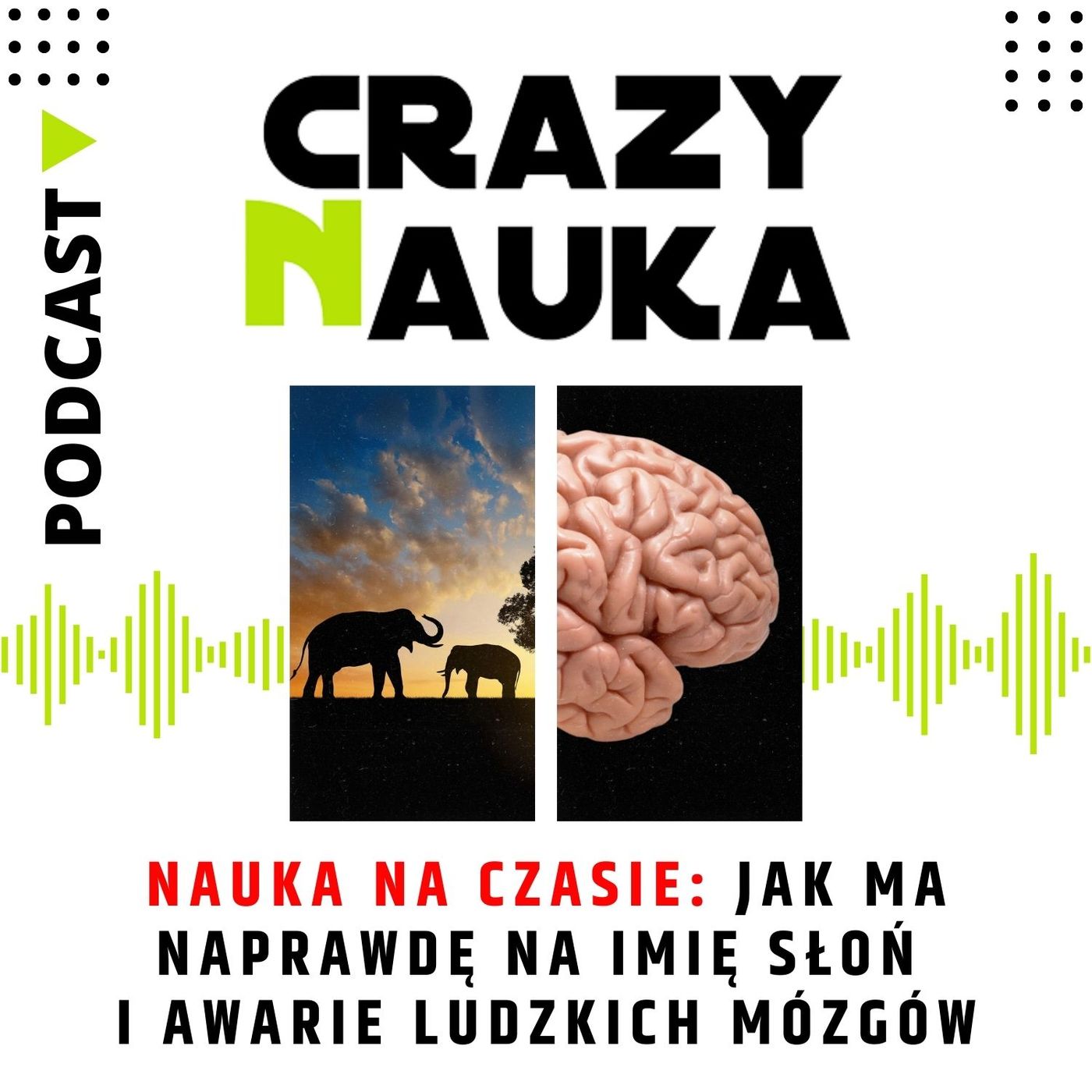 Crazy Nauka