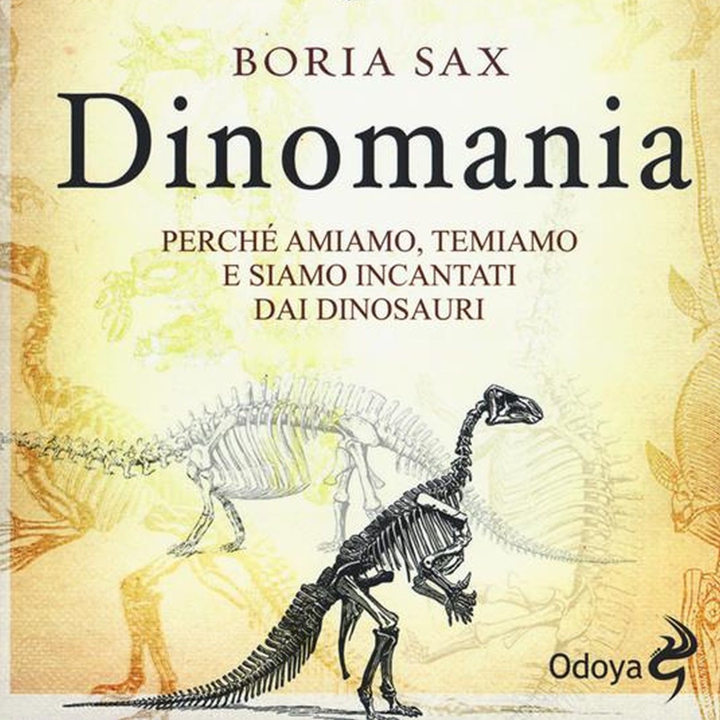 La biblioteca del gatto rosso
