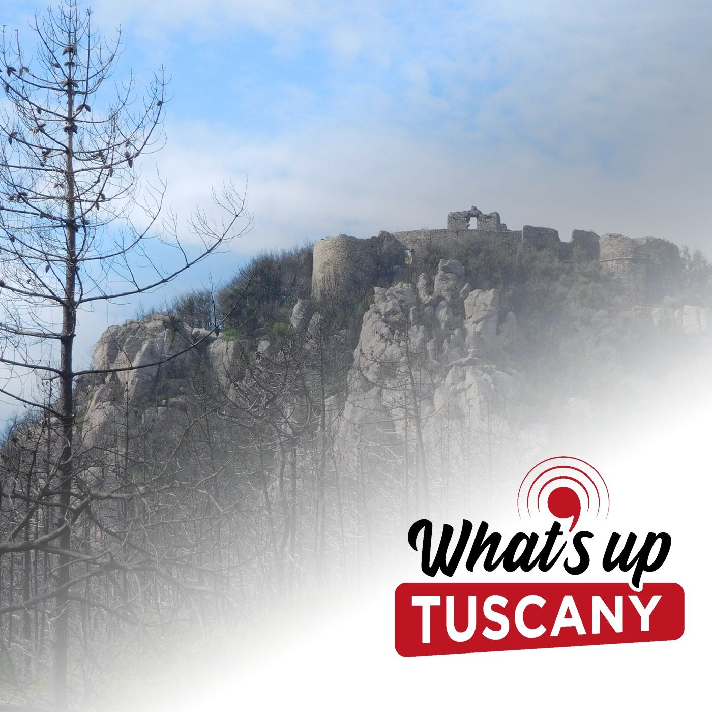 What\'s Up Tuscany