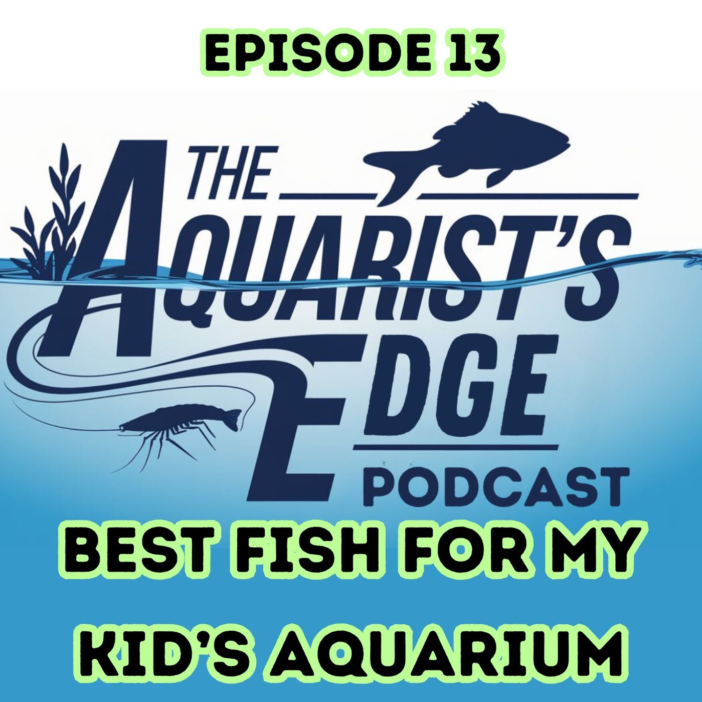 The Aquarist\'s Edge
