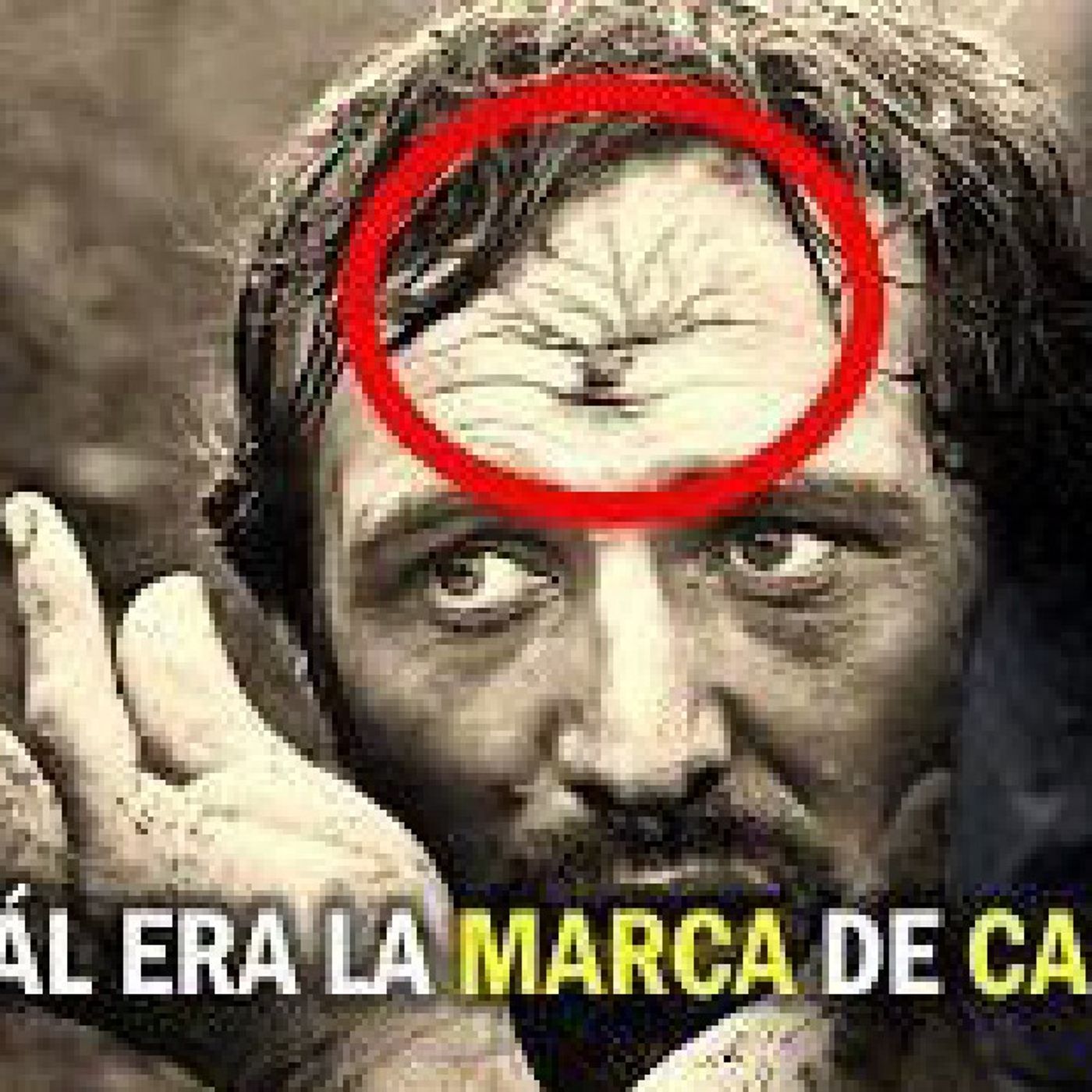 Descifrada la Señal a Caín episode artwork