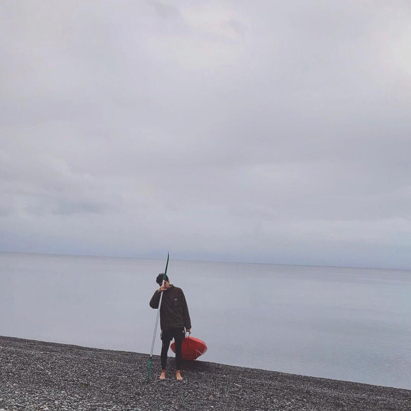 Proyecto Gestión de la información.