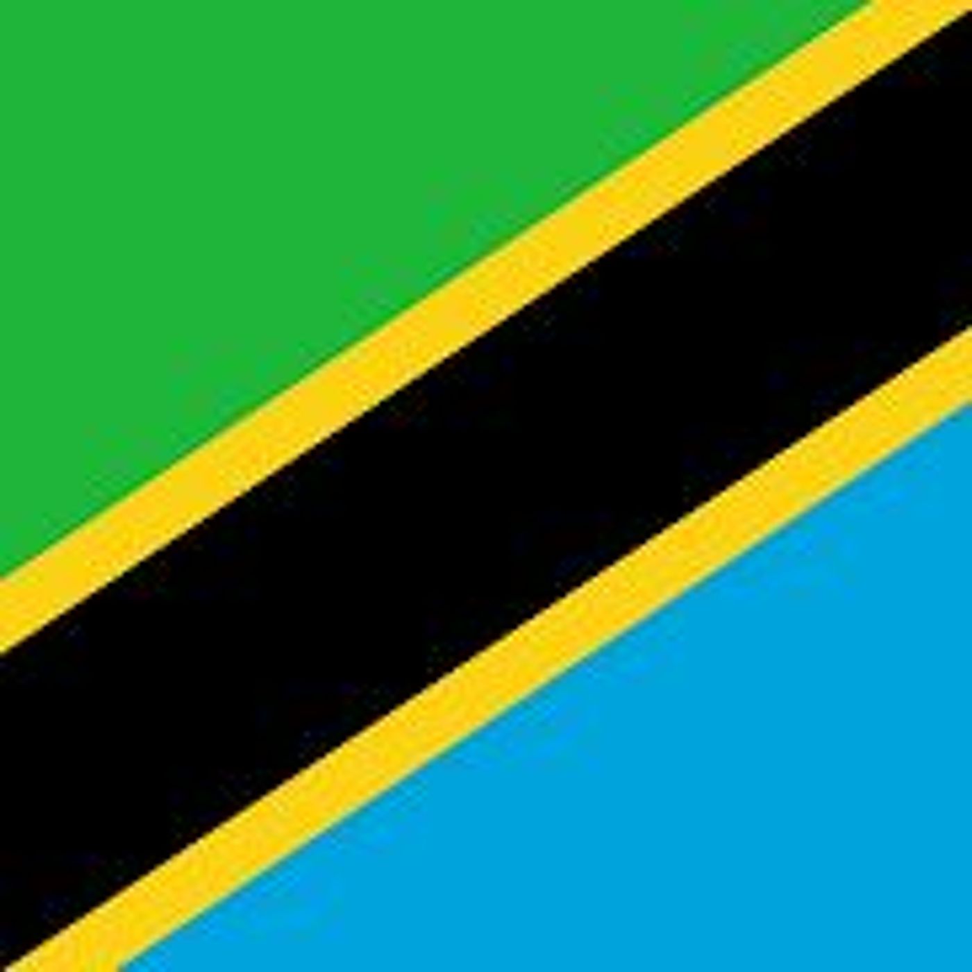 Transition Minerals In Tanzania