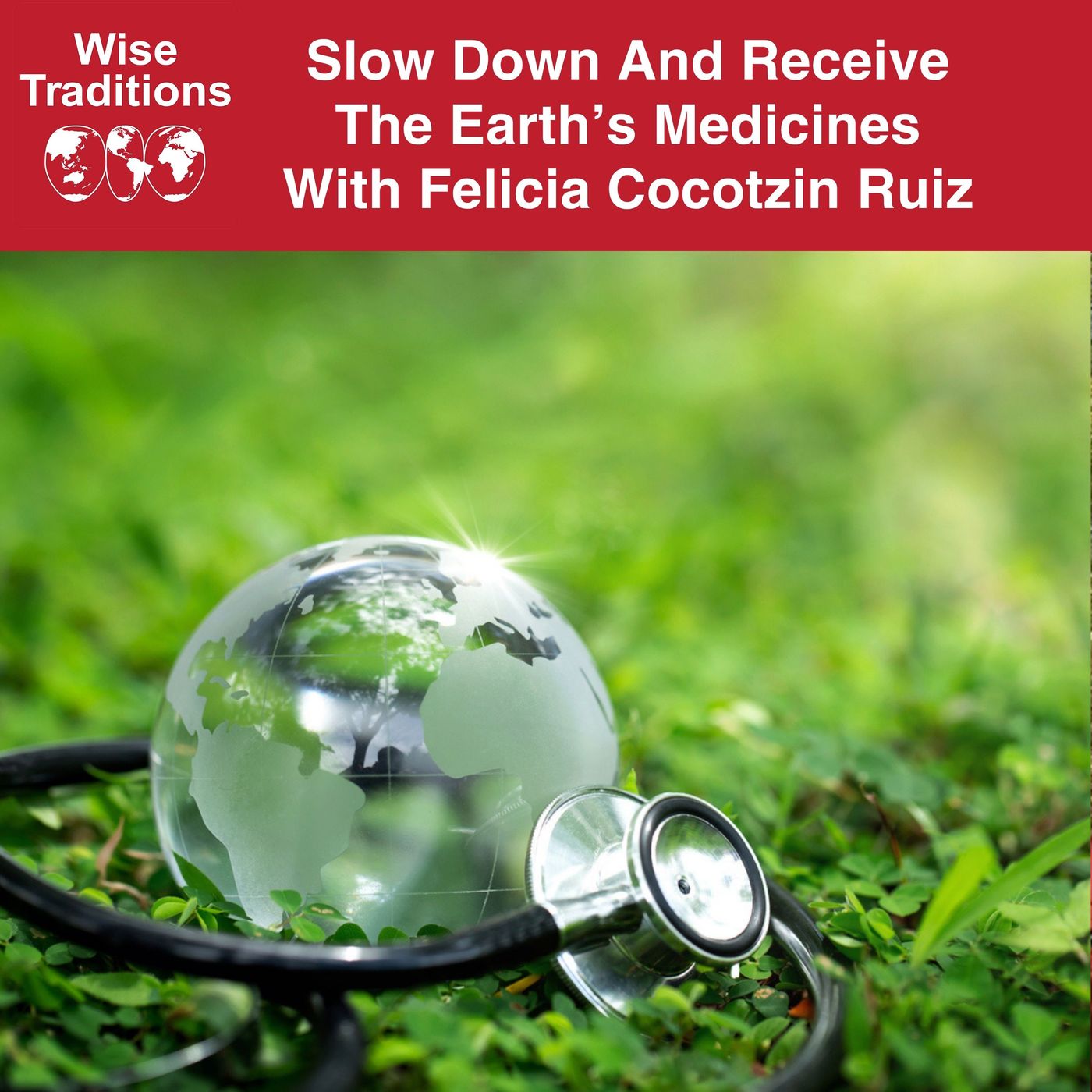 553: Slow Down And Receive The Earth's Medicines With Felicia Cocotzin Ruiz