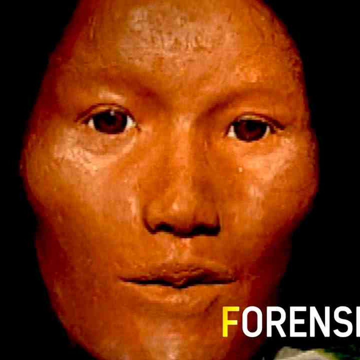 Forensic Files  Grave Evidence (In HD) episode artwork