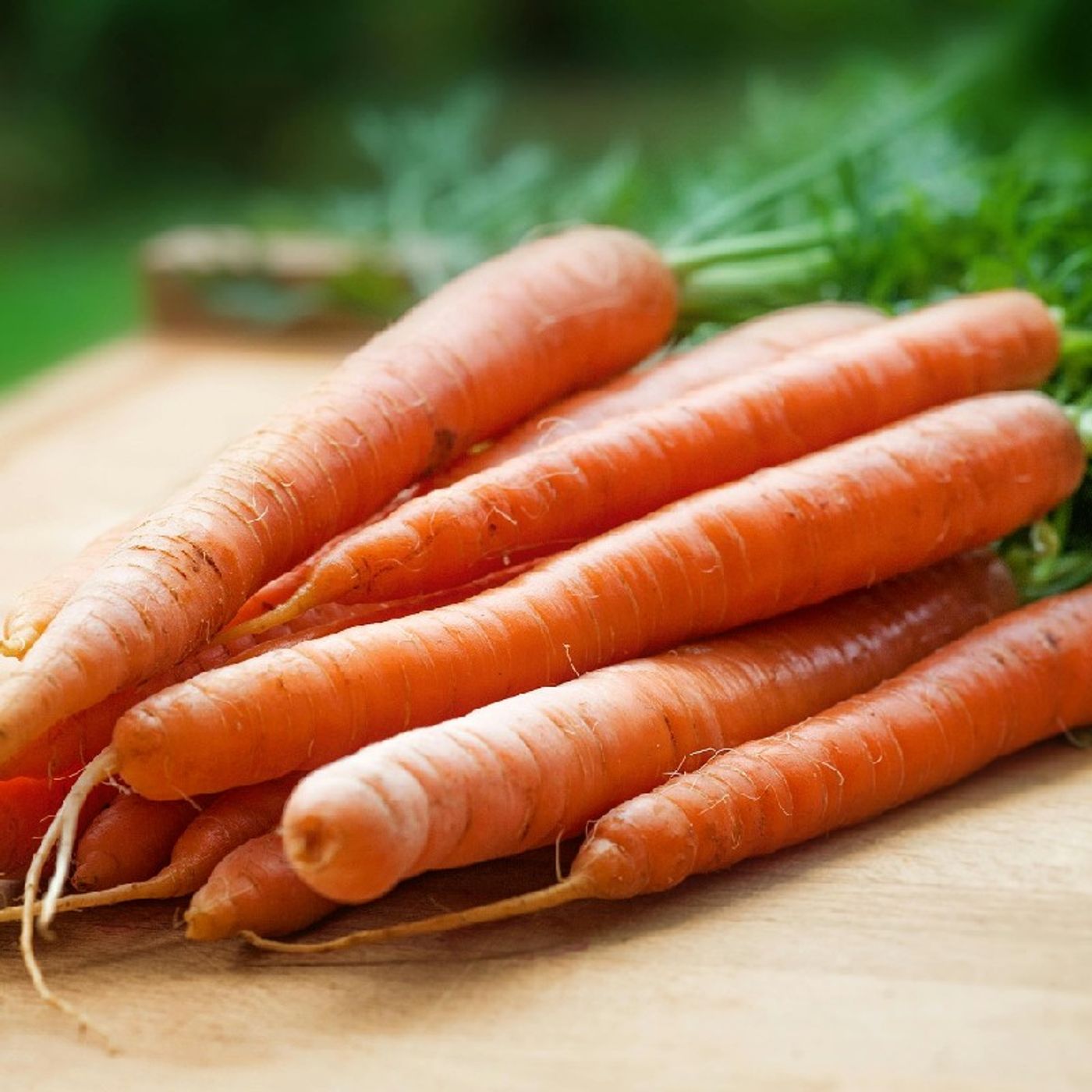 Small Scale Organic Farming