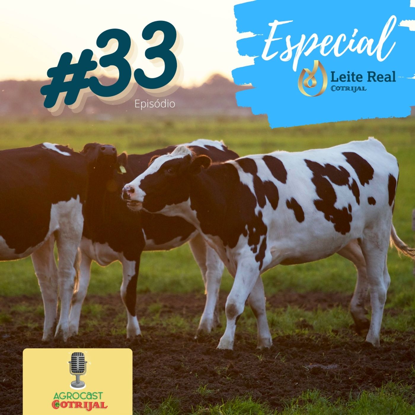 AgroCast Cotrijal