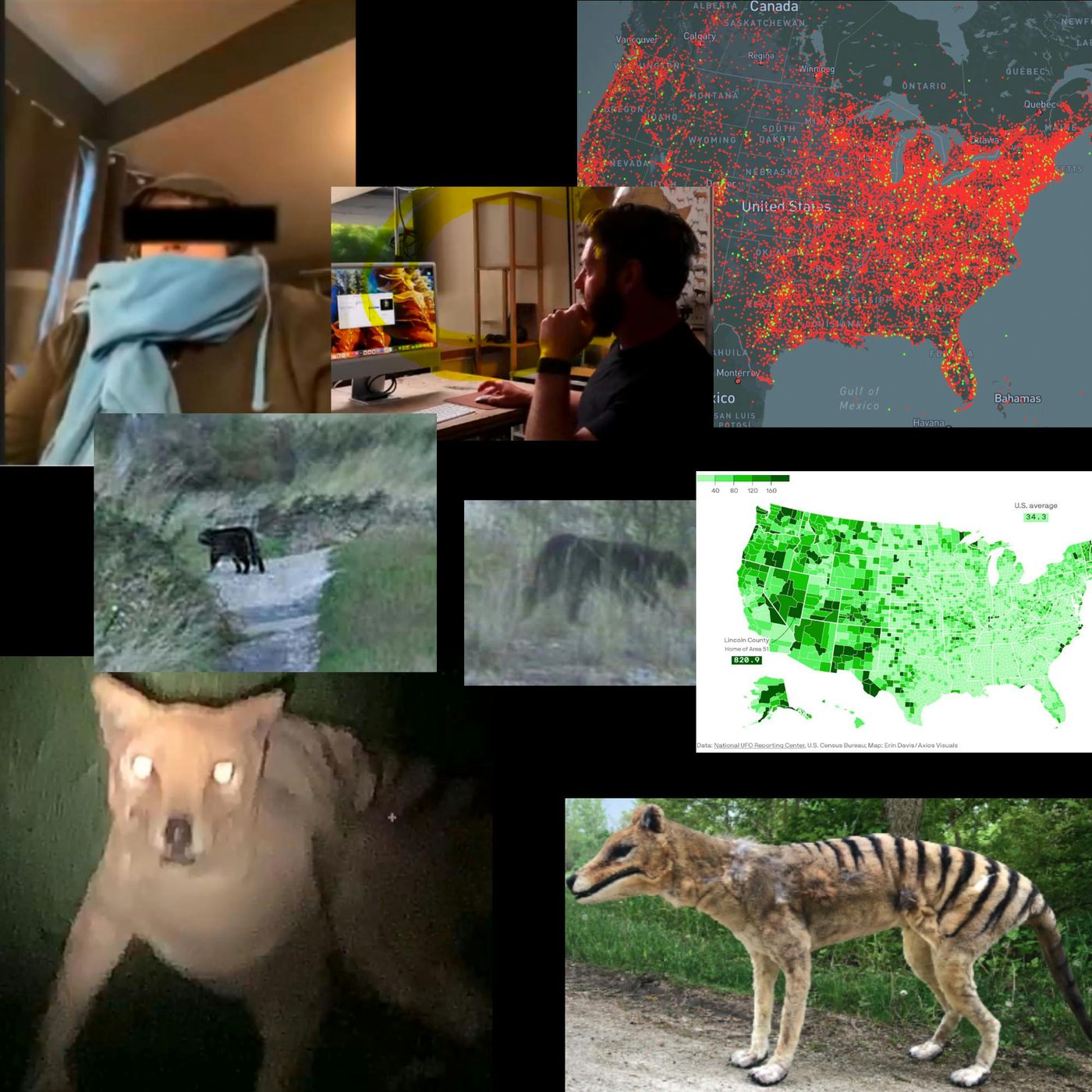 S03E34 British Lions and Tasmanian Tigers