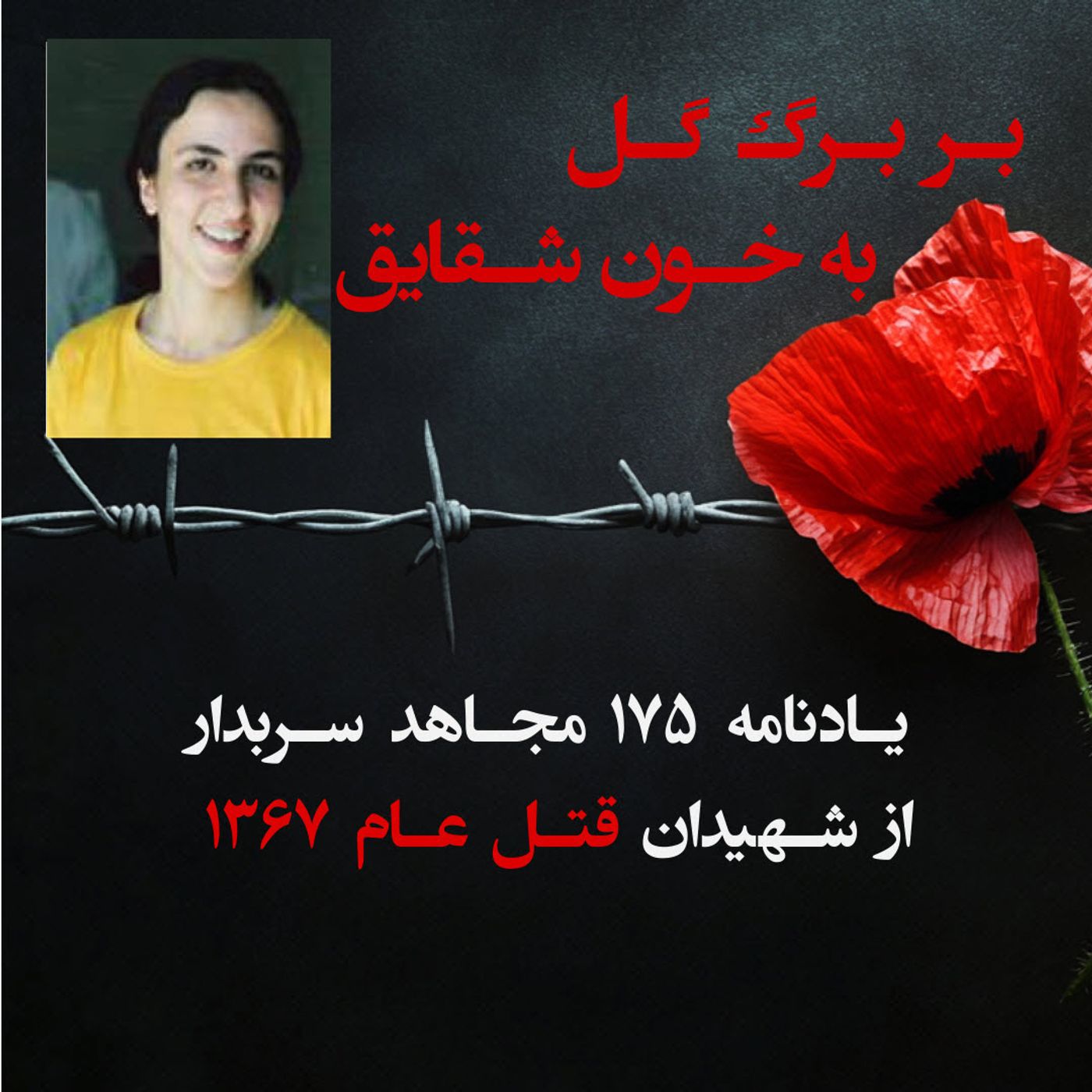 بربرگ گل به خون شقایق- فروزان عبدی