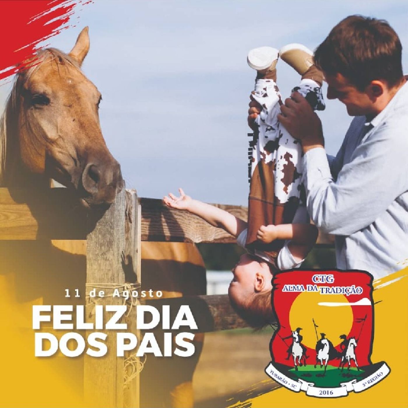 Nosso Direito Constitucional