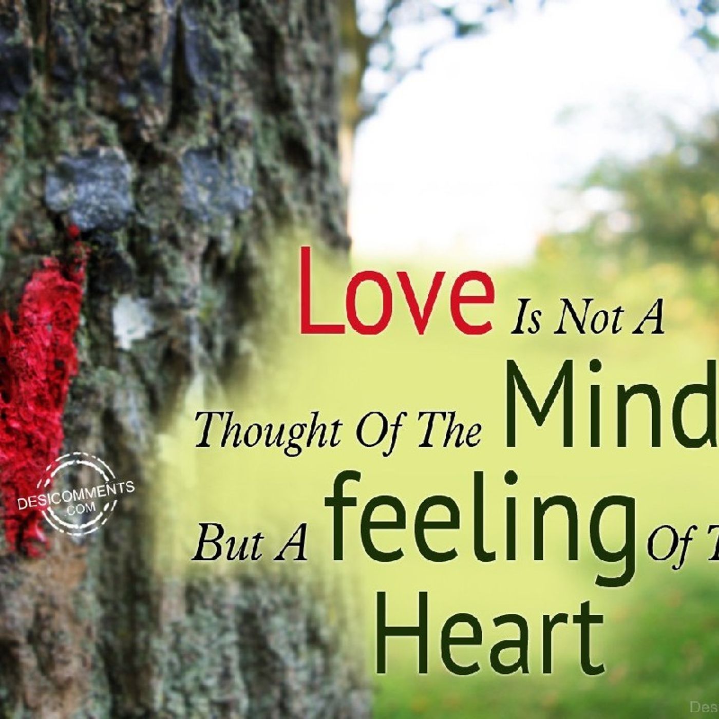 Love mind and heart episode artwork