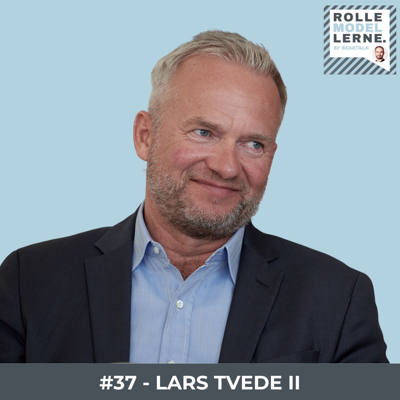 Rollemodellerne by Bjørn Vestergaard