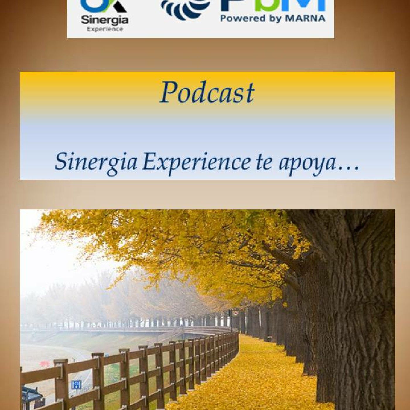 Sinergia Experience Te Apoya...
