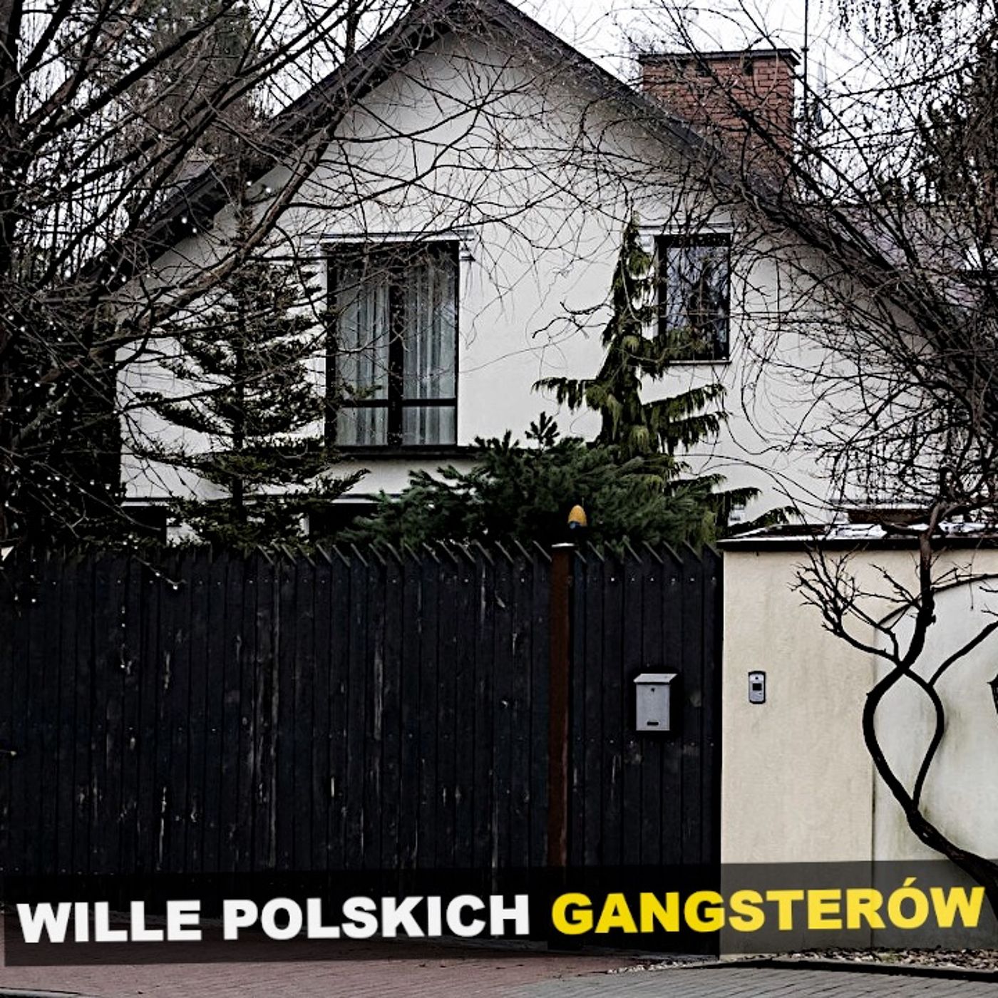 Wille polskich gangsterów episode artwork