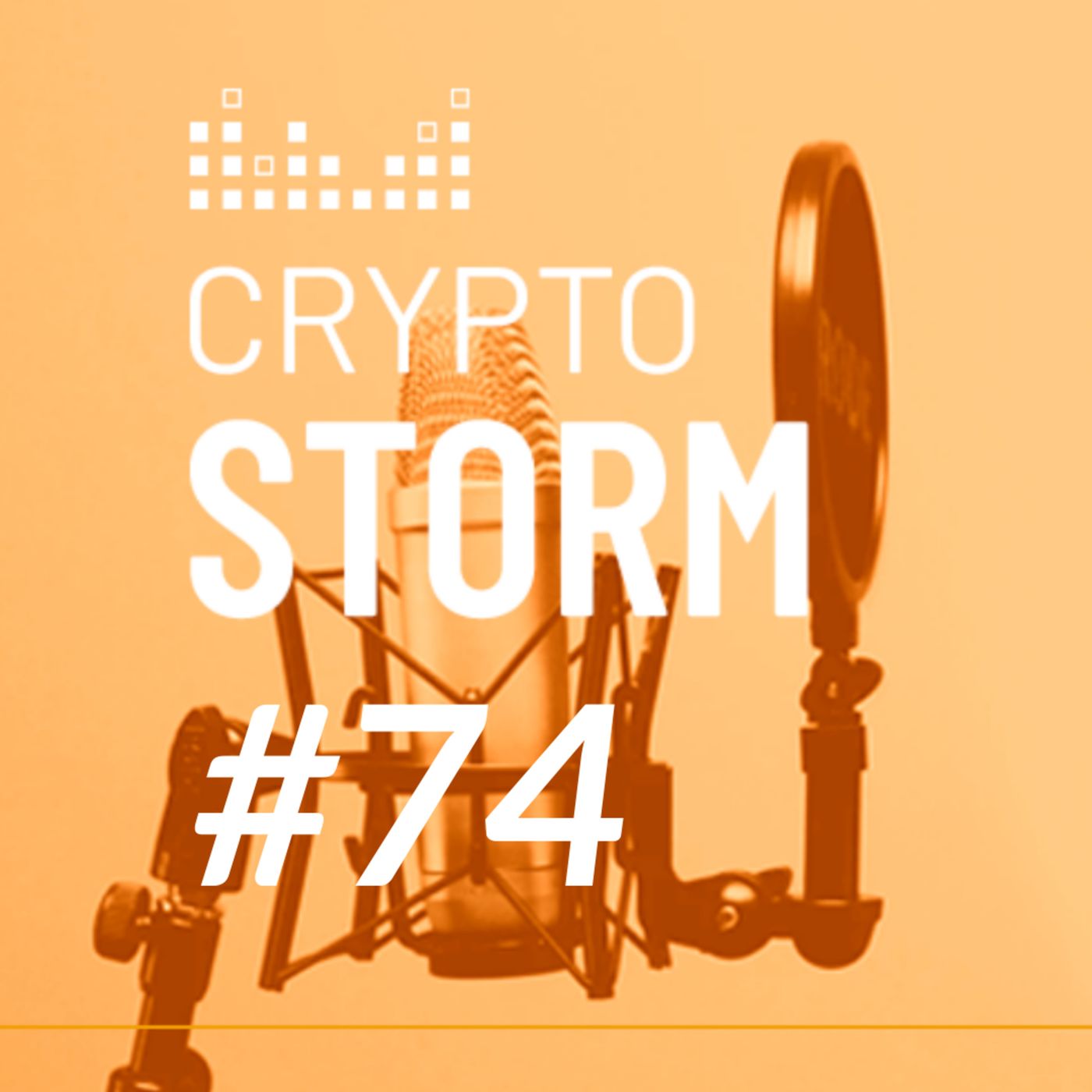 Crypto Storm