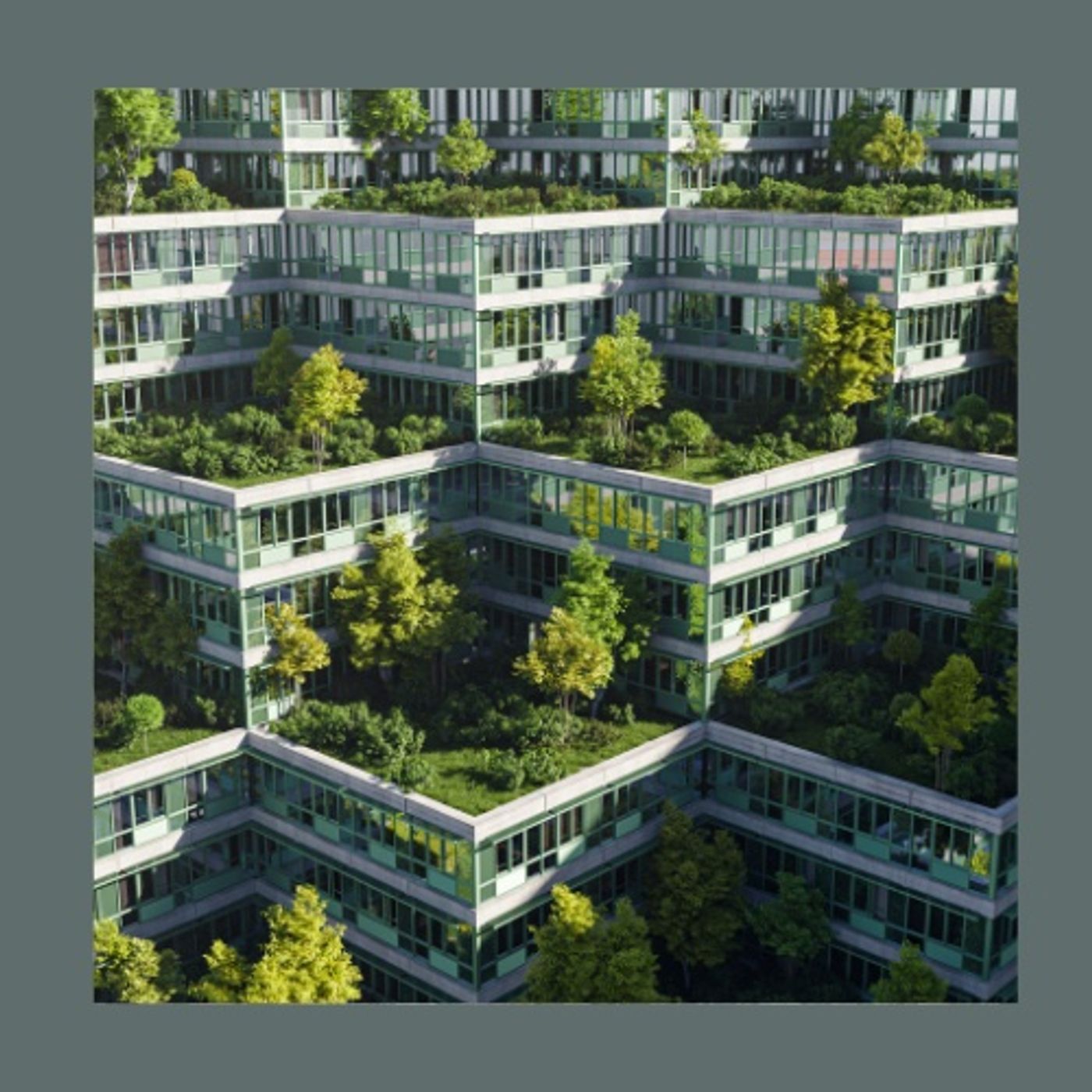 #216 Scopri il potere curativo delle piante in città