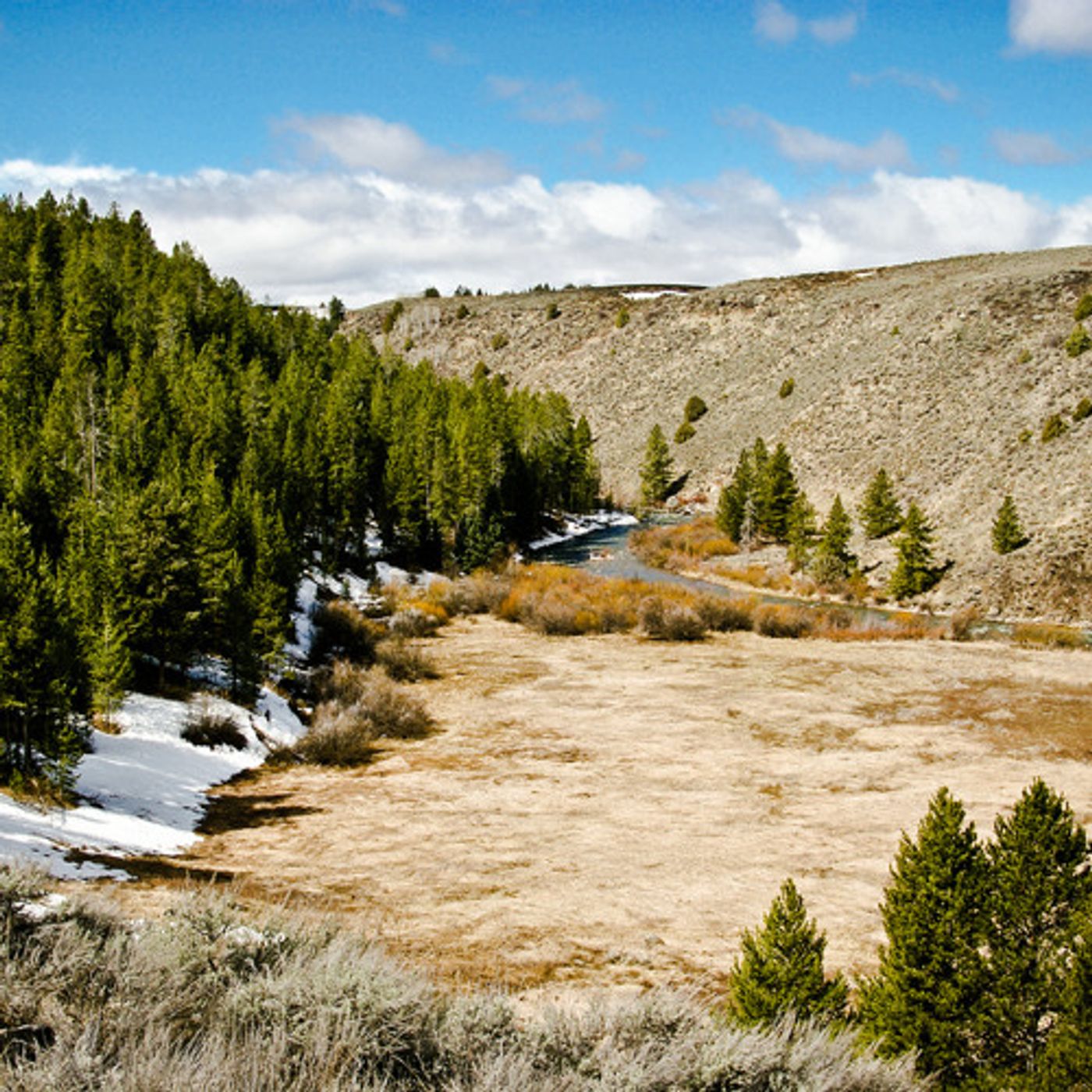 Appeals Court Upholds Idaho's Roadless Plan episode artwork