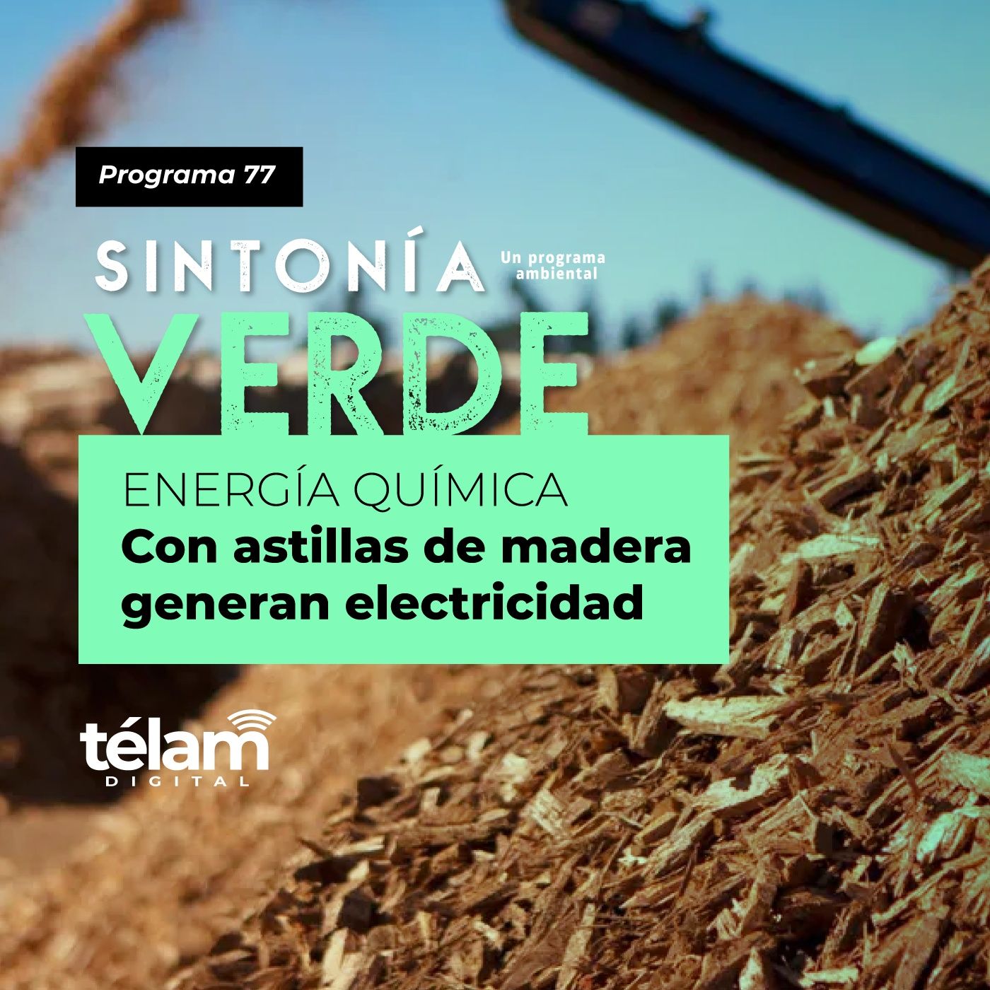 Sintonía Verde, un programa ambiental
