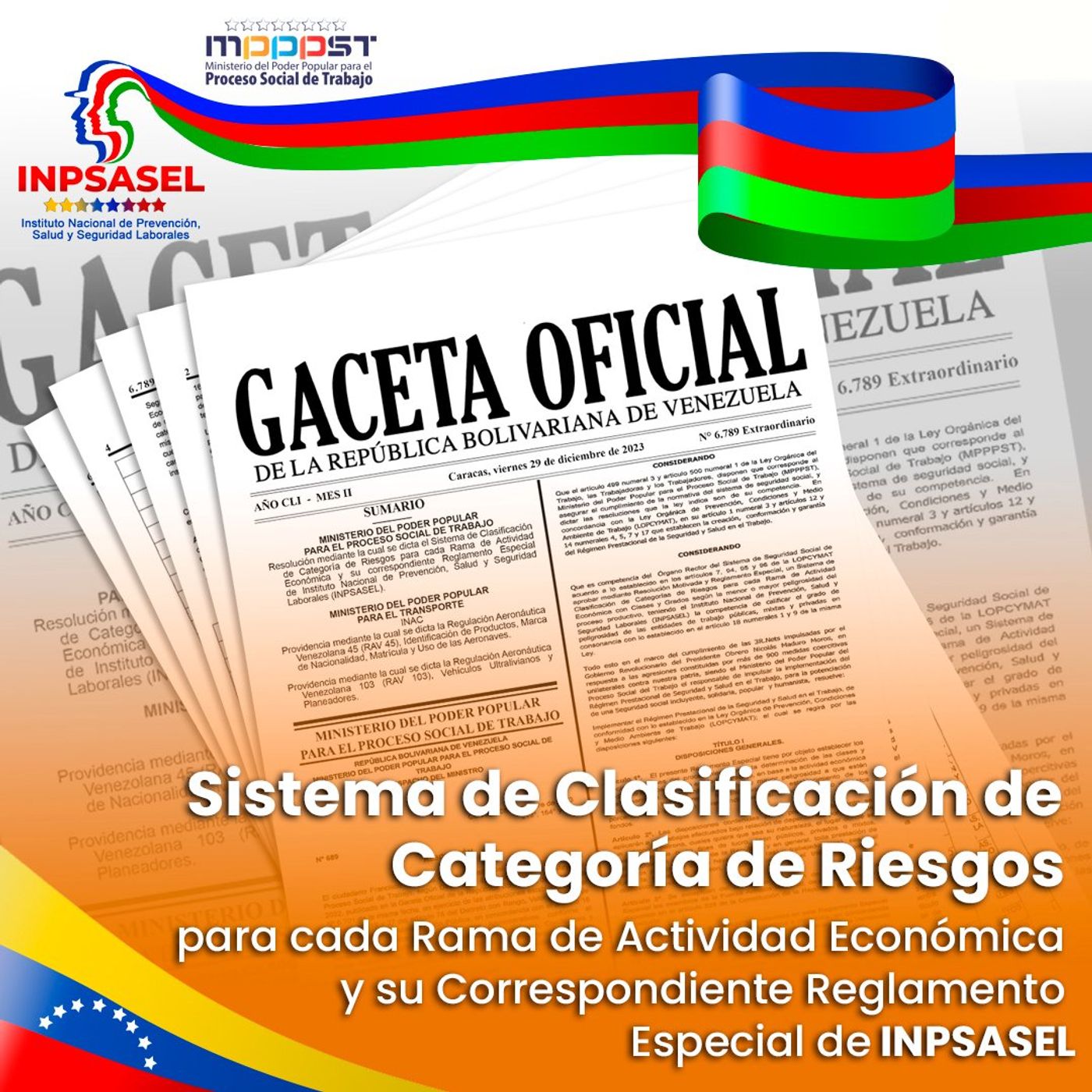 SISTEMA DE CLASIFICACIÓN DE CATEGORÍA DE RIESGOS del #INPSASEL episode artwork