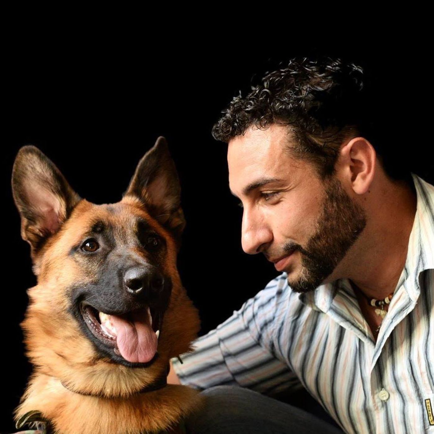 Vita da cani