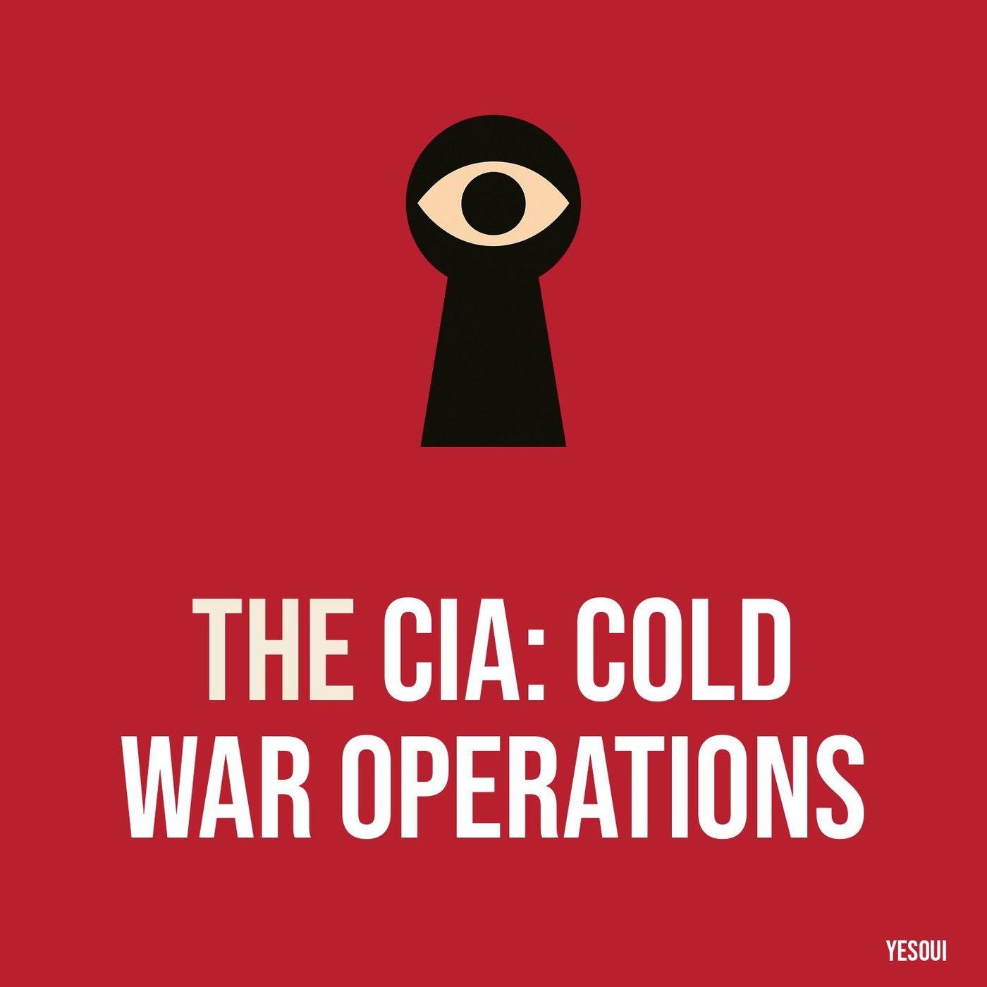 The CIA: Cold War Operations