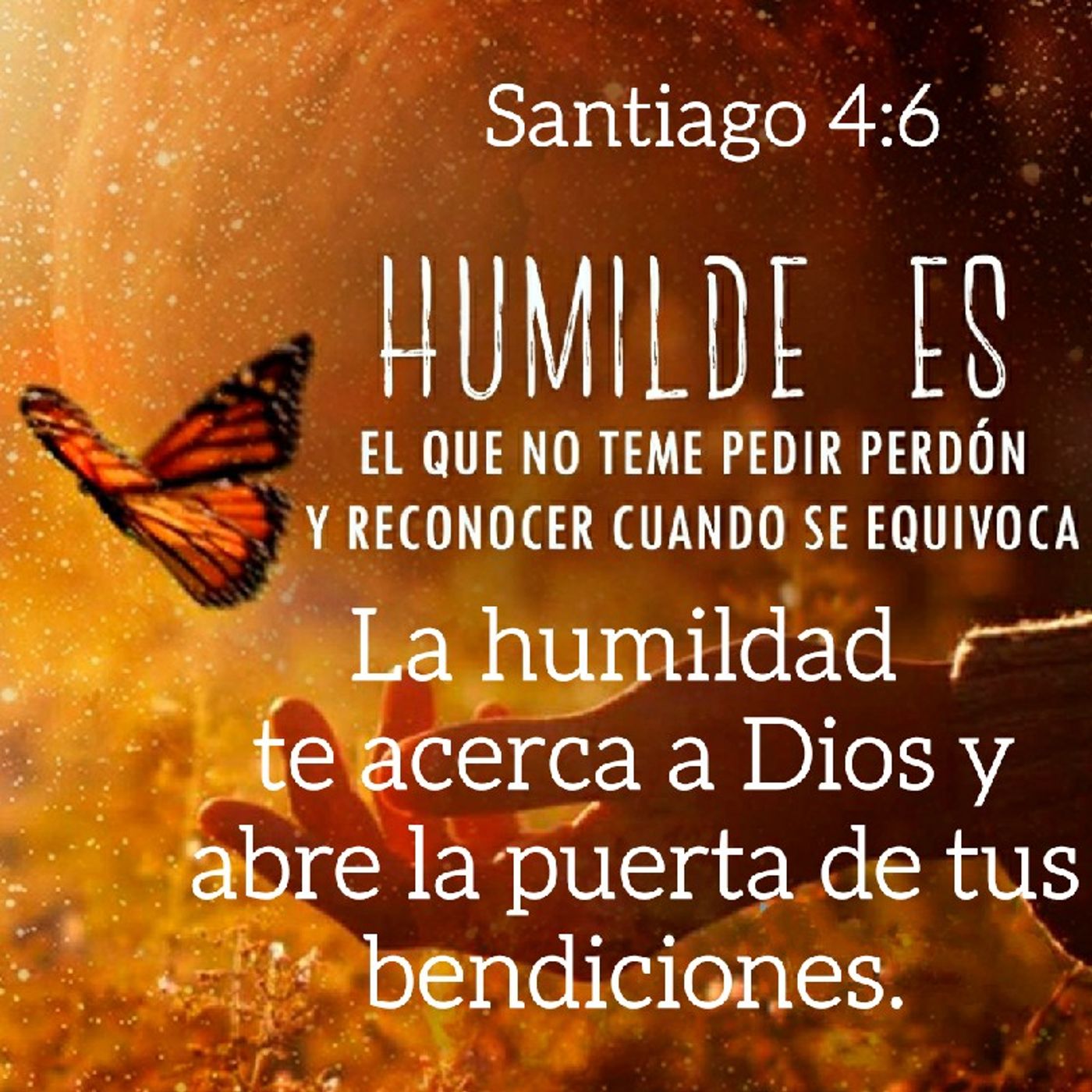 Reflexión Oasis Espiritual.  E. Lizcano